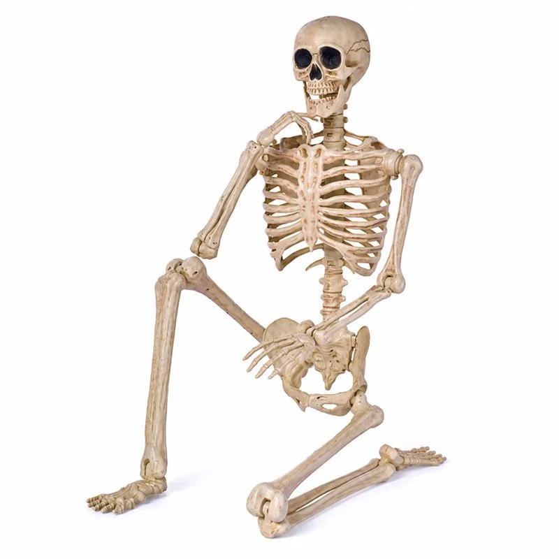 5' White Skeleton