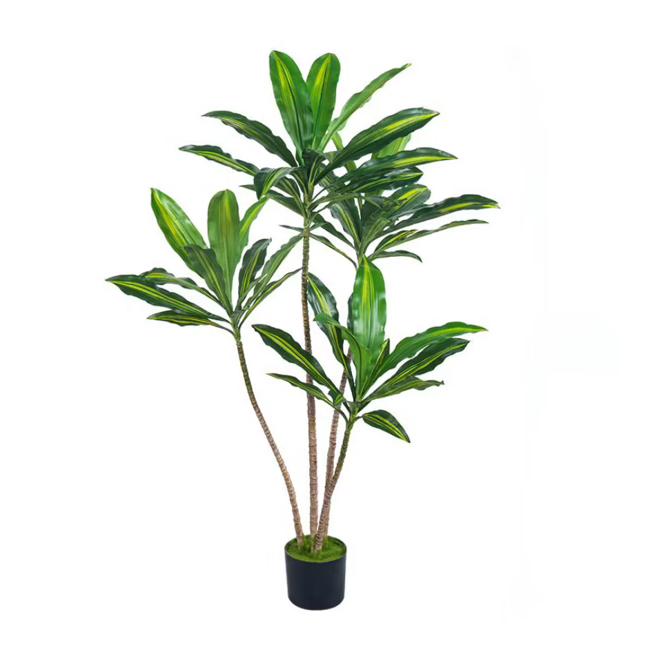 Dracaena Artificial Plant