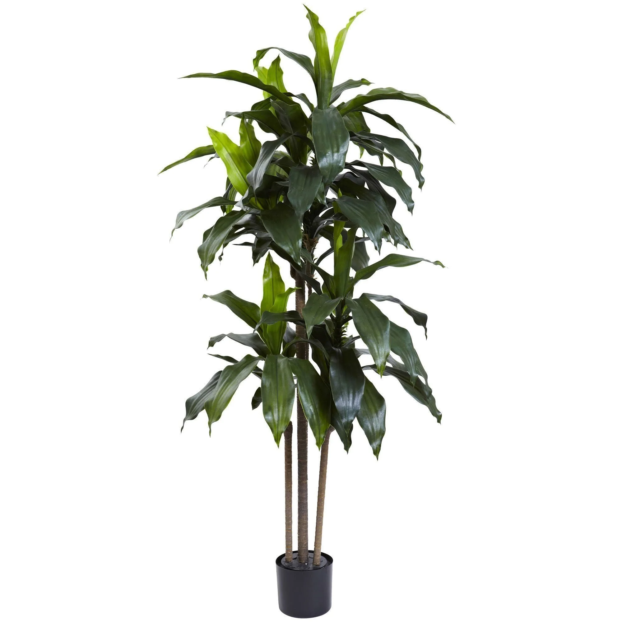artificial-5-dracaena-plant-uv-resistant-indooroutdoor-nearly-natural-163619.jpg