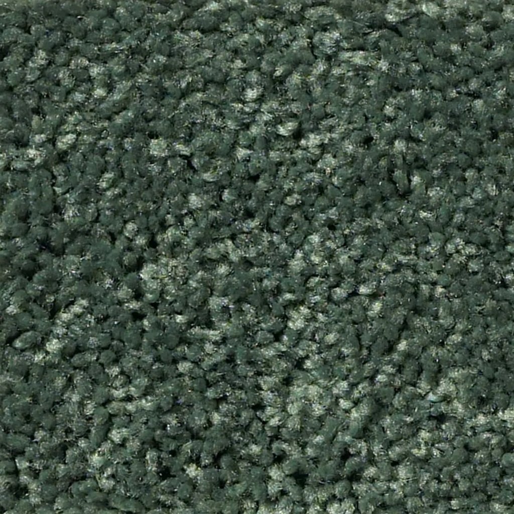 Green Area Rug.jpg