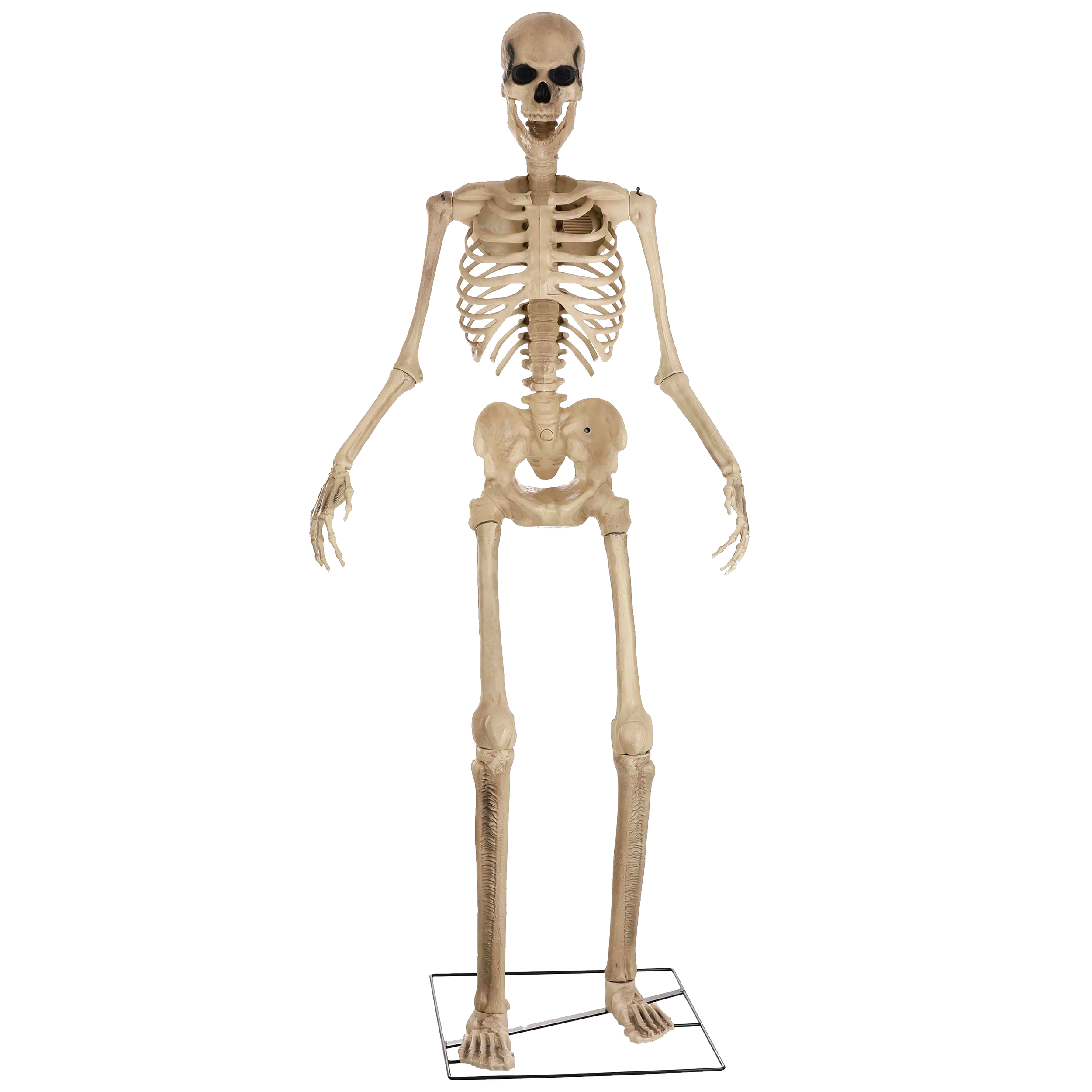 Skeleton-10ft.png