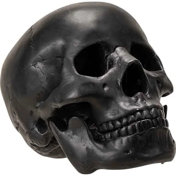6" Black Skull Head