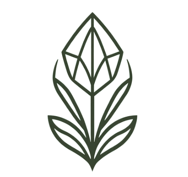 Facets Of Wellness