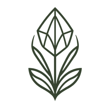 Facets Of Wellness