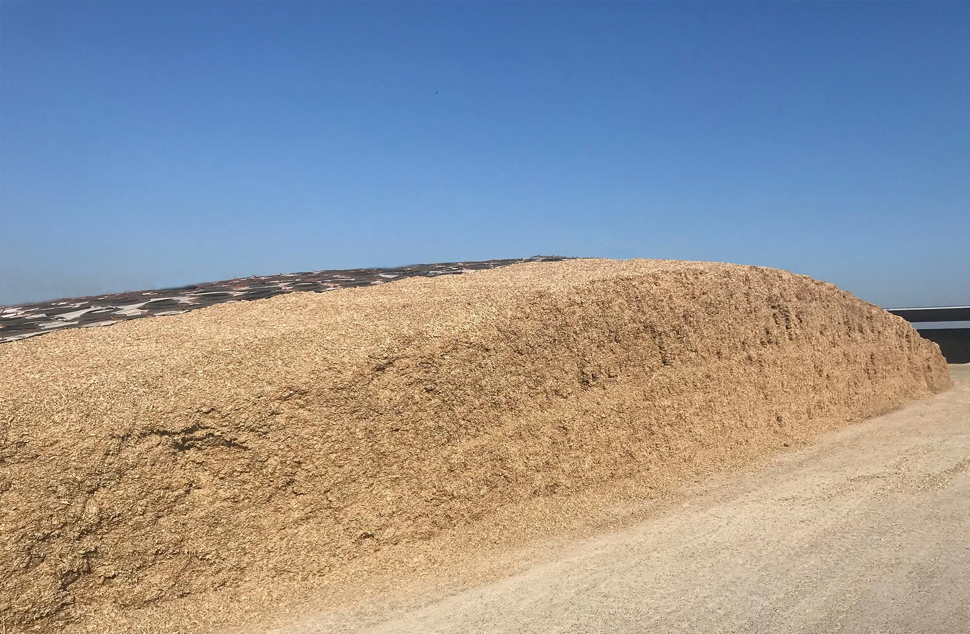 Edited titanium pile.jpg