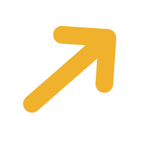 Rolling Stone article about Grateful Dead film, Summer Tour