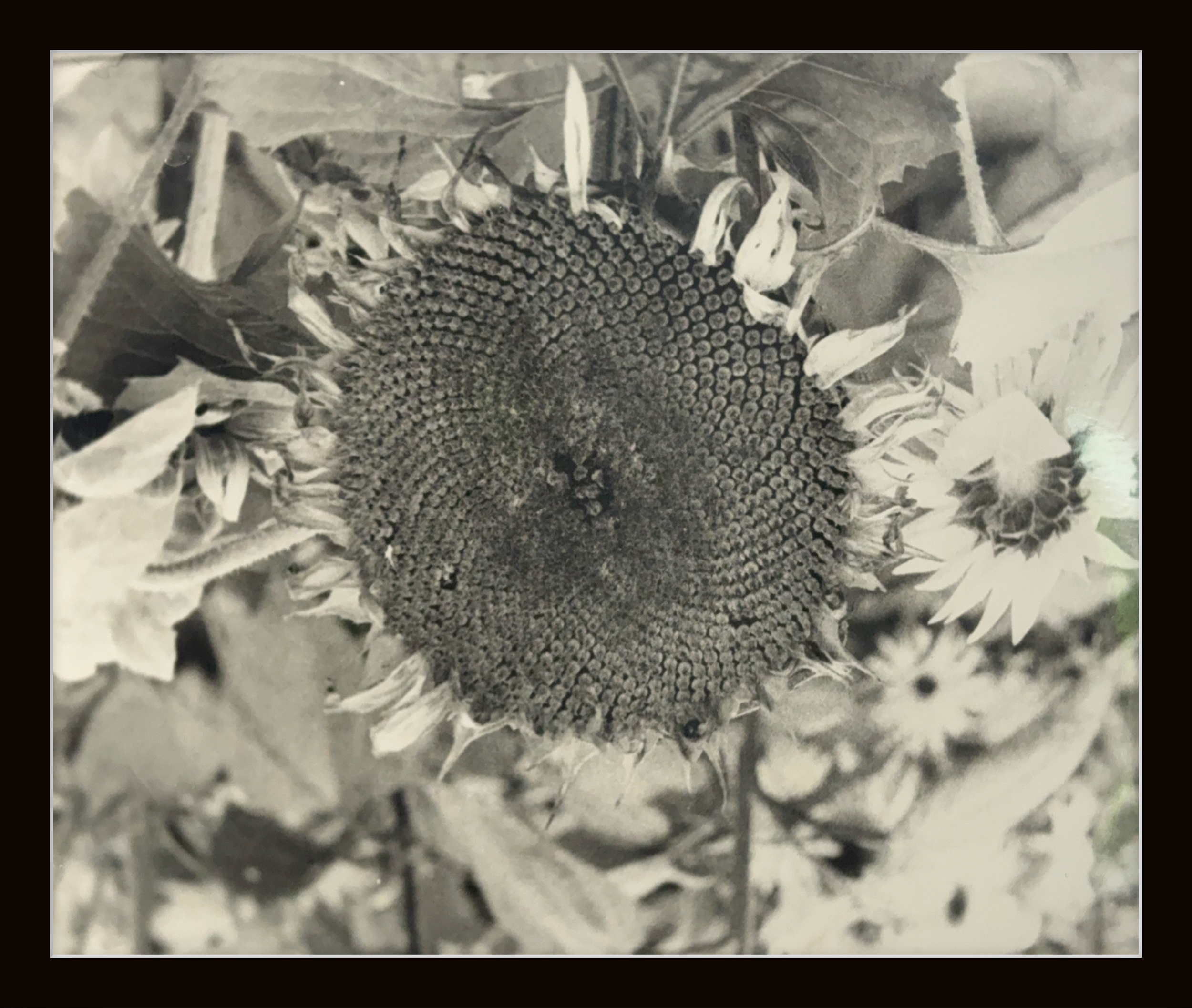 Photography #009