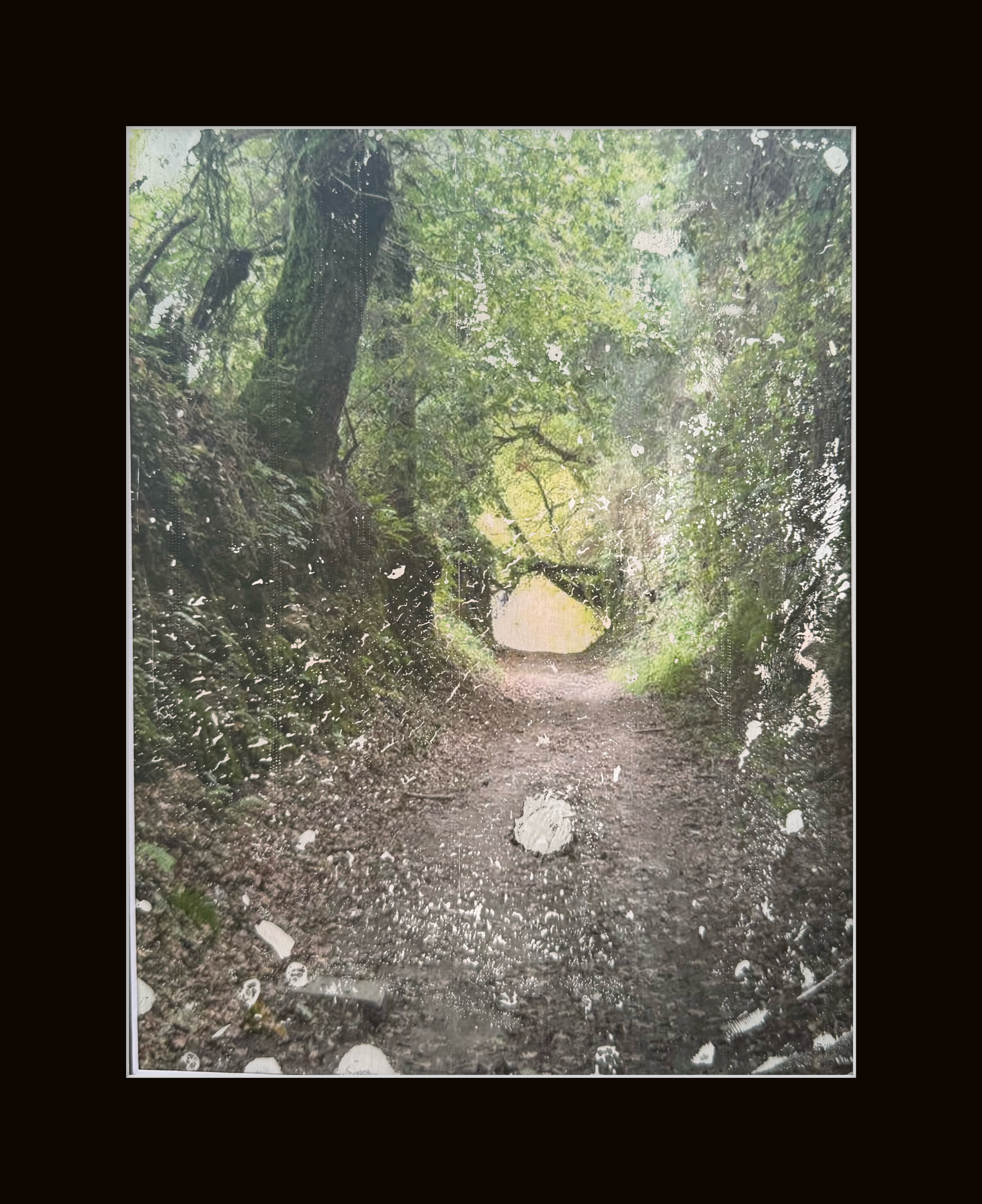 Camino Awaits