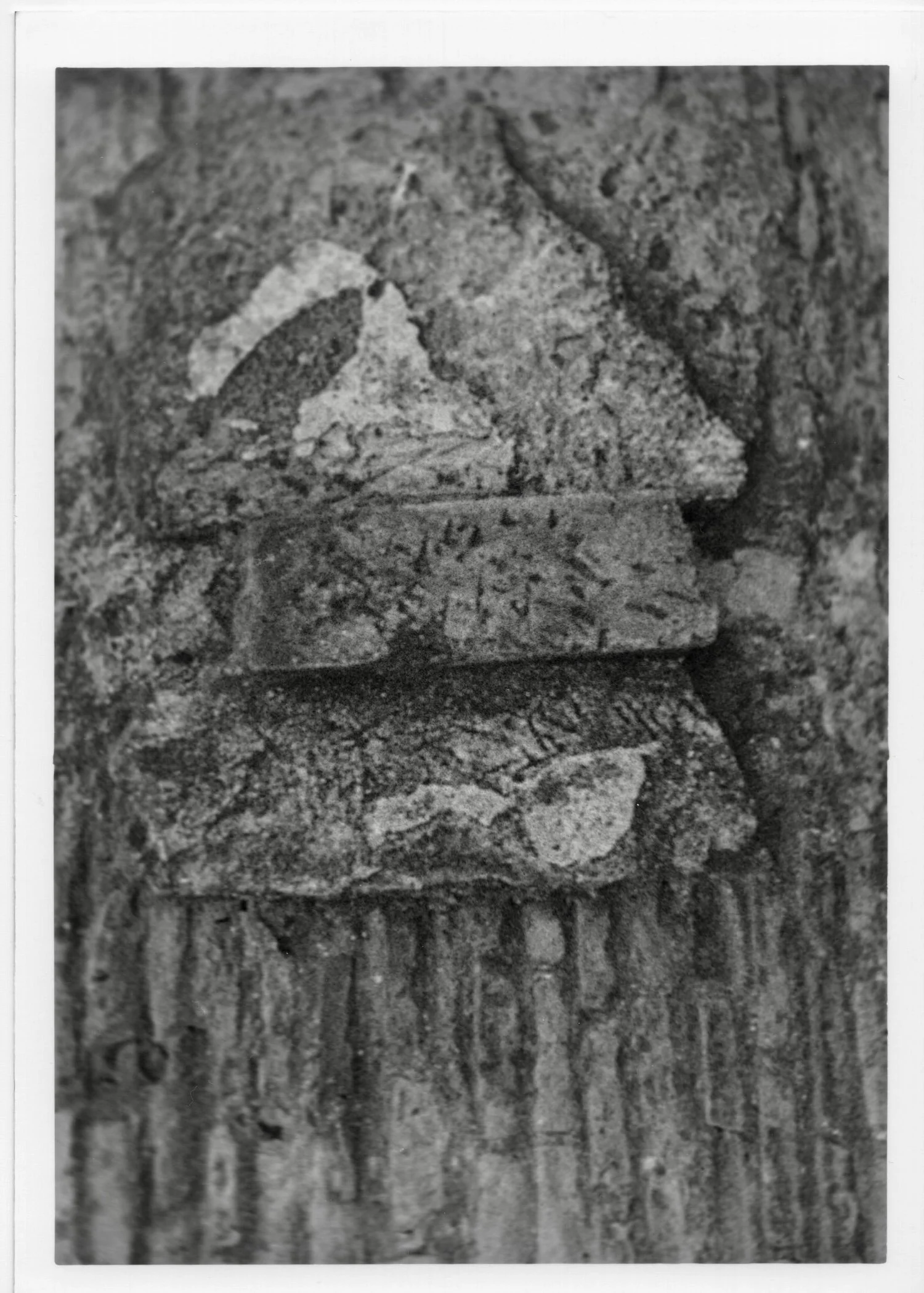 What the Wall Remembers