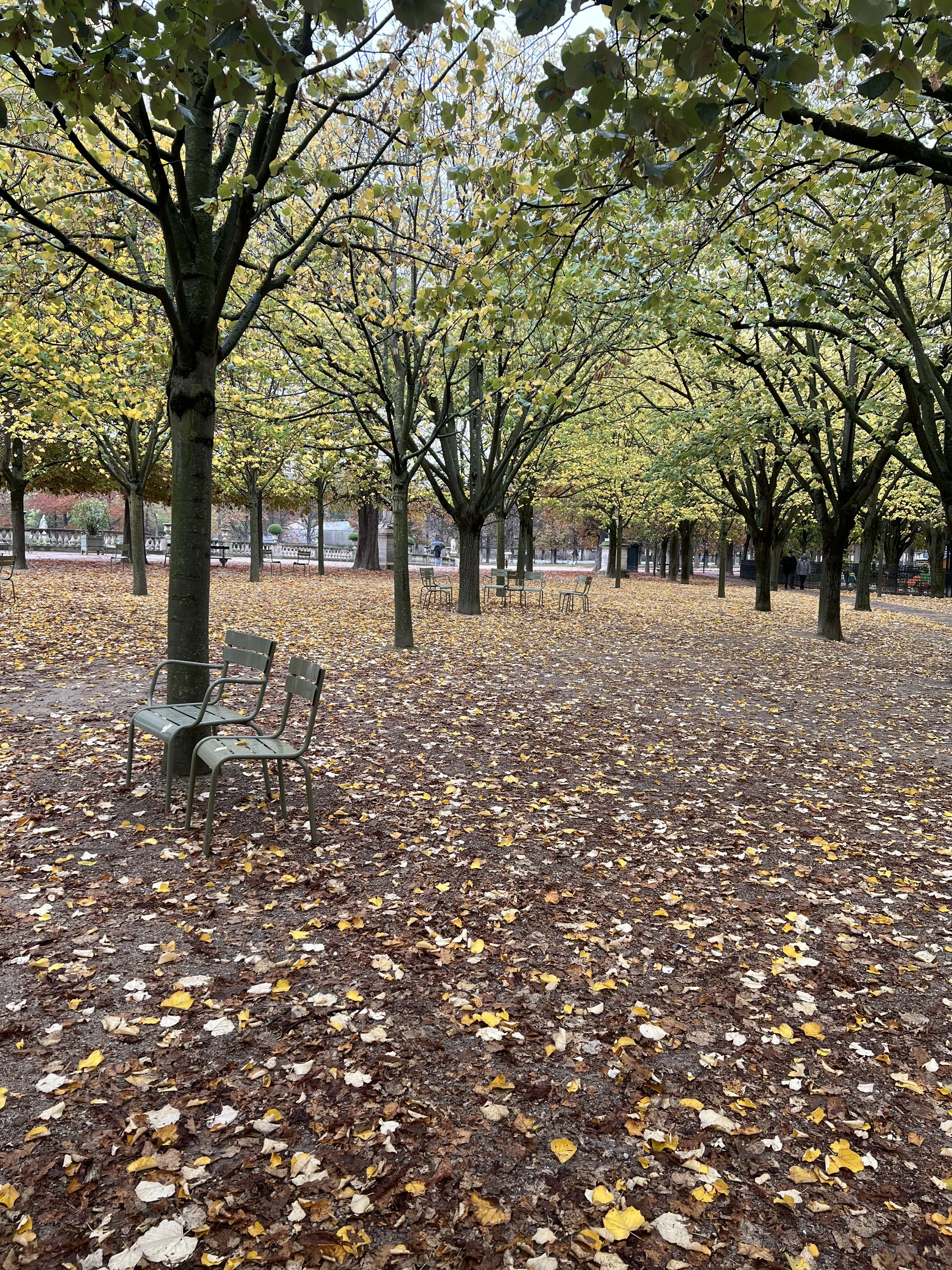 A park scene with several trees with yellow and green leaves, fallen leaves on the ground, and empty benches. Some people are visible in the distance.