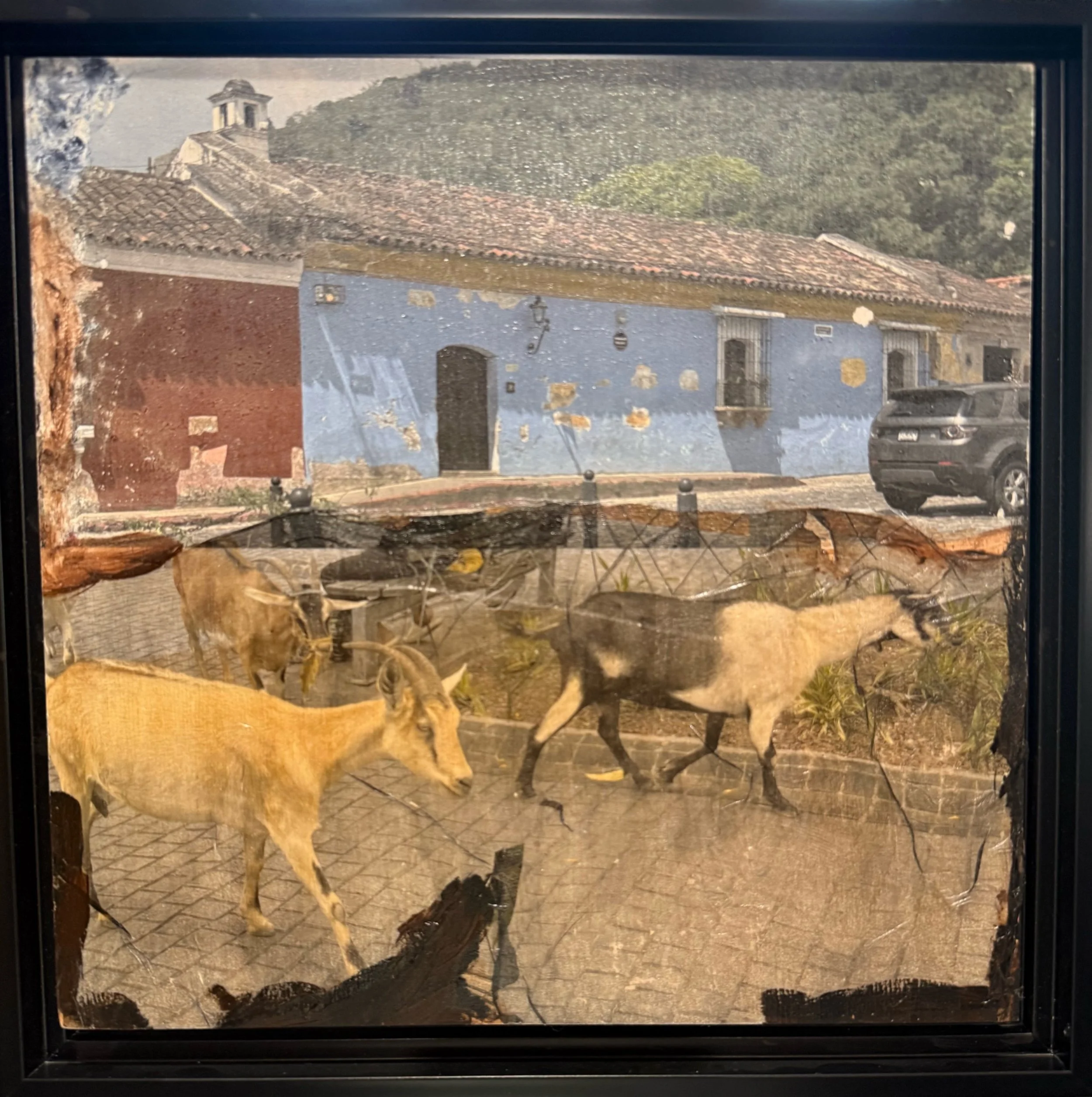 Passing Through Antigua