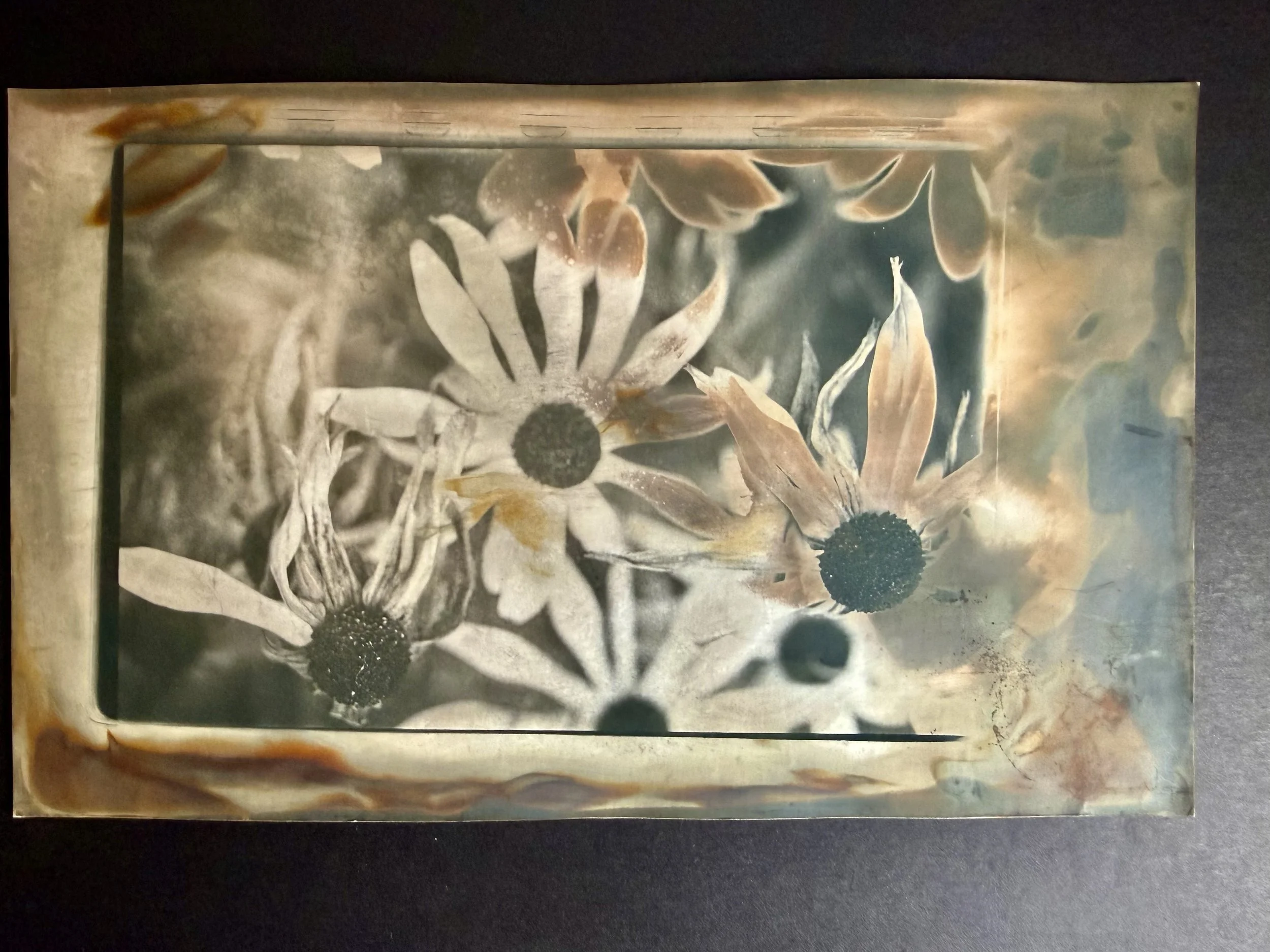 Chromoskedasic Sabatier #29