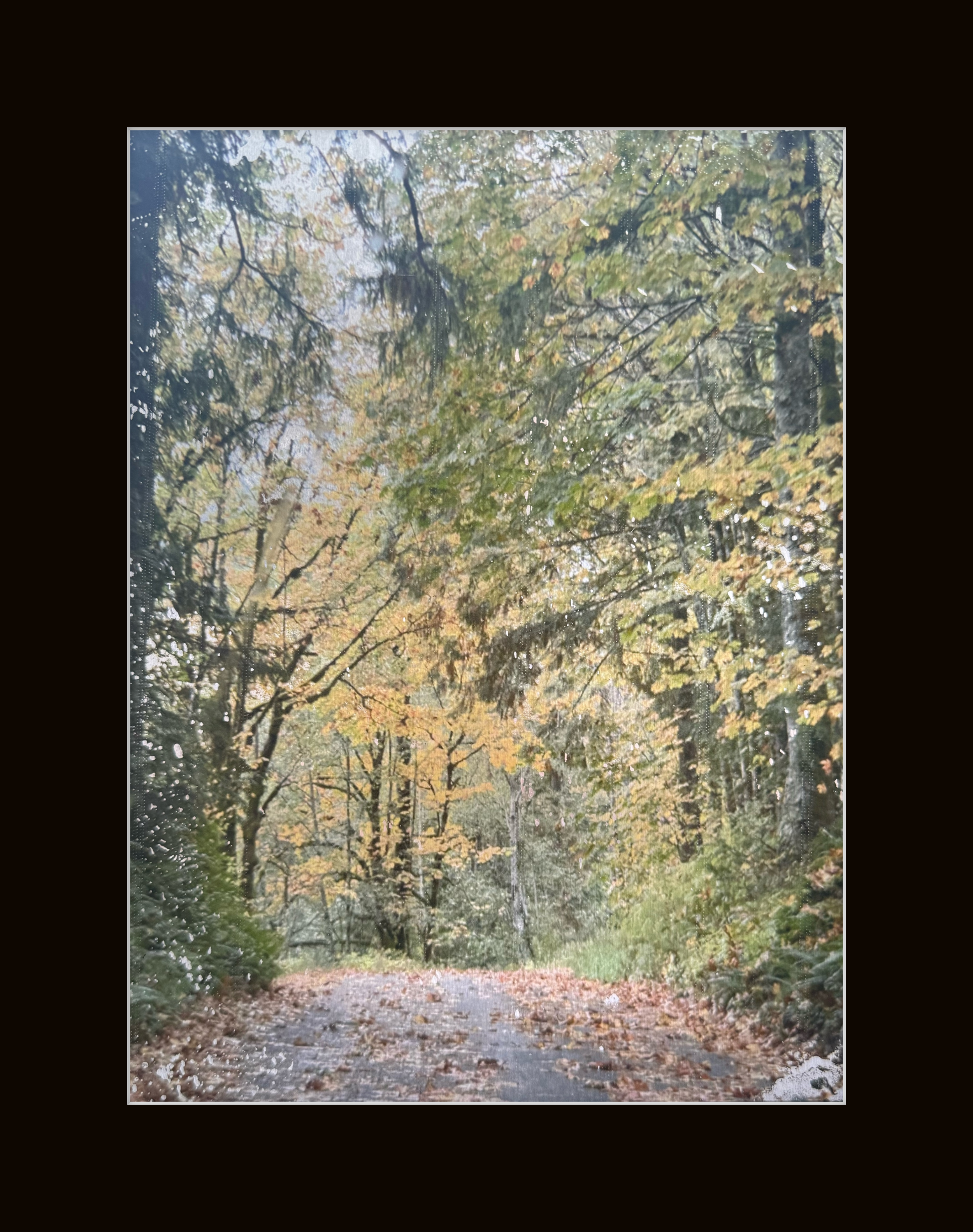 Walk in the Park