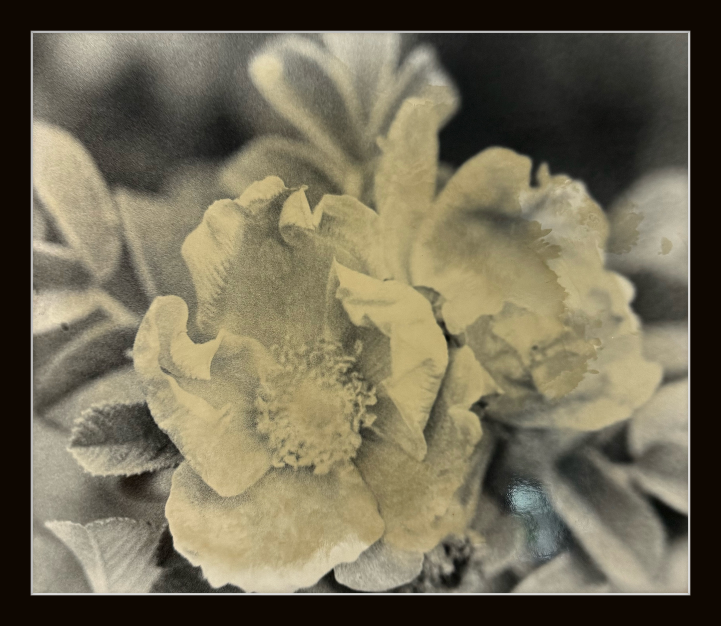 Photography #0021