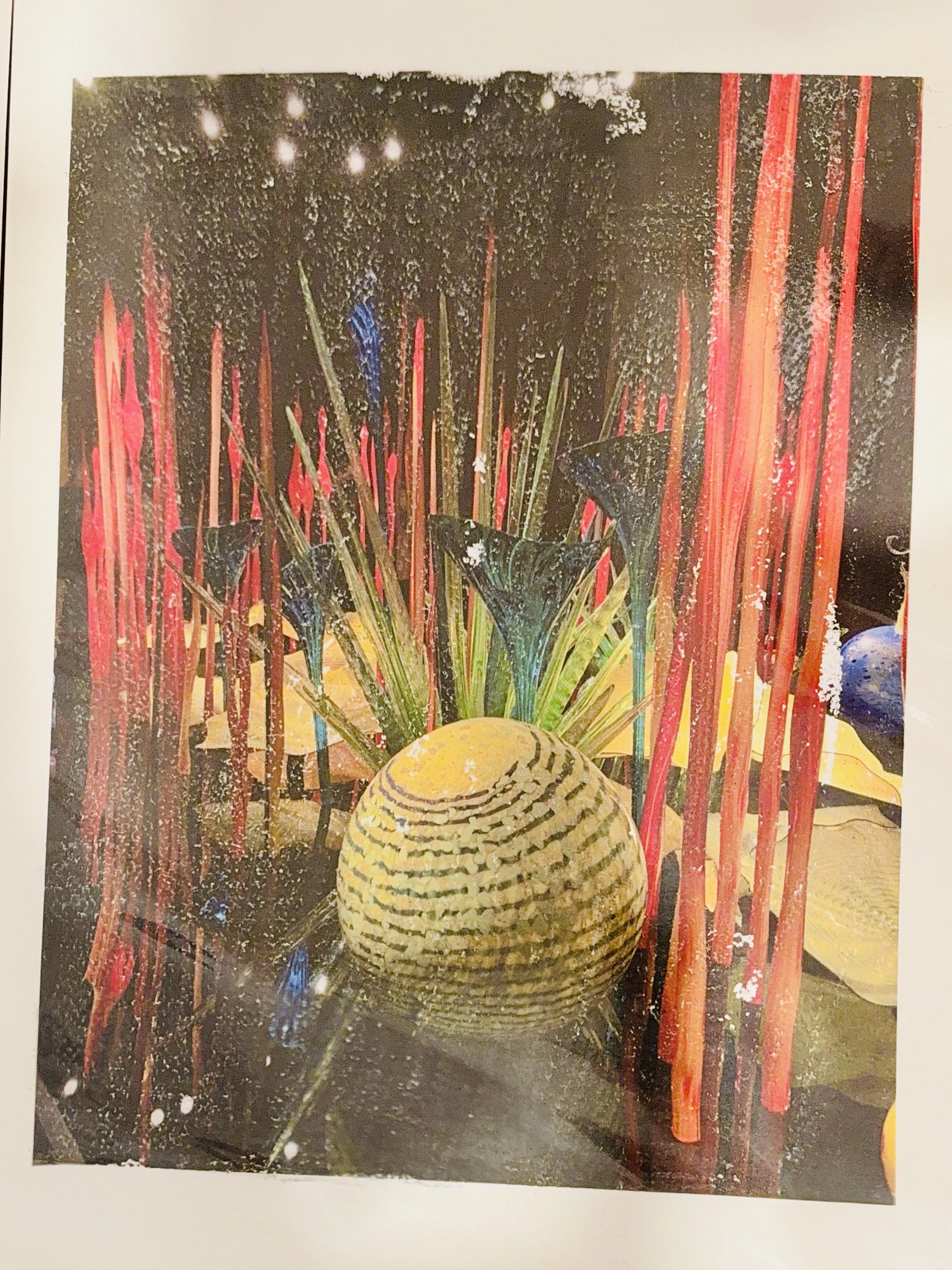 Chihuly Reflections #2