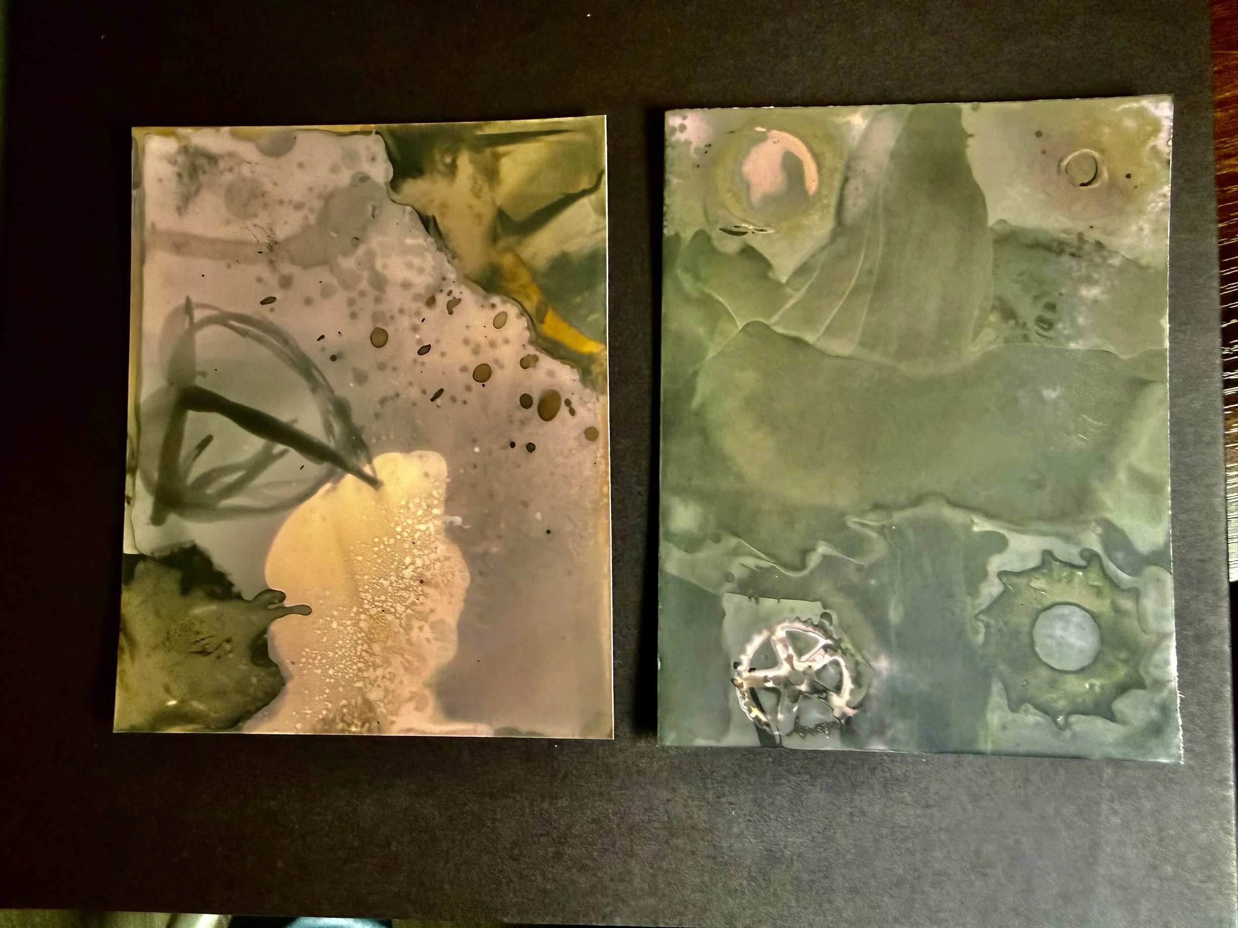 Chromoskedasic Sabatier #30