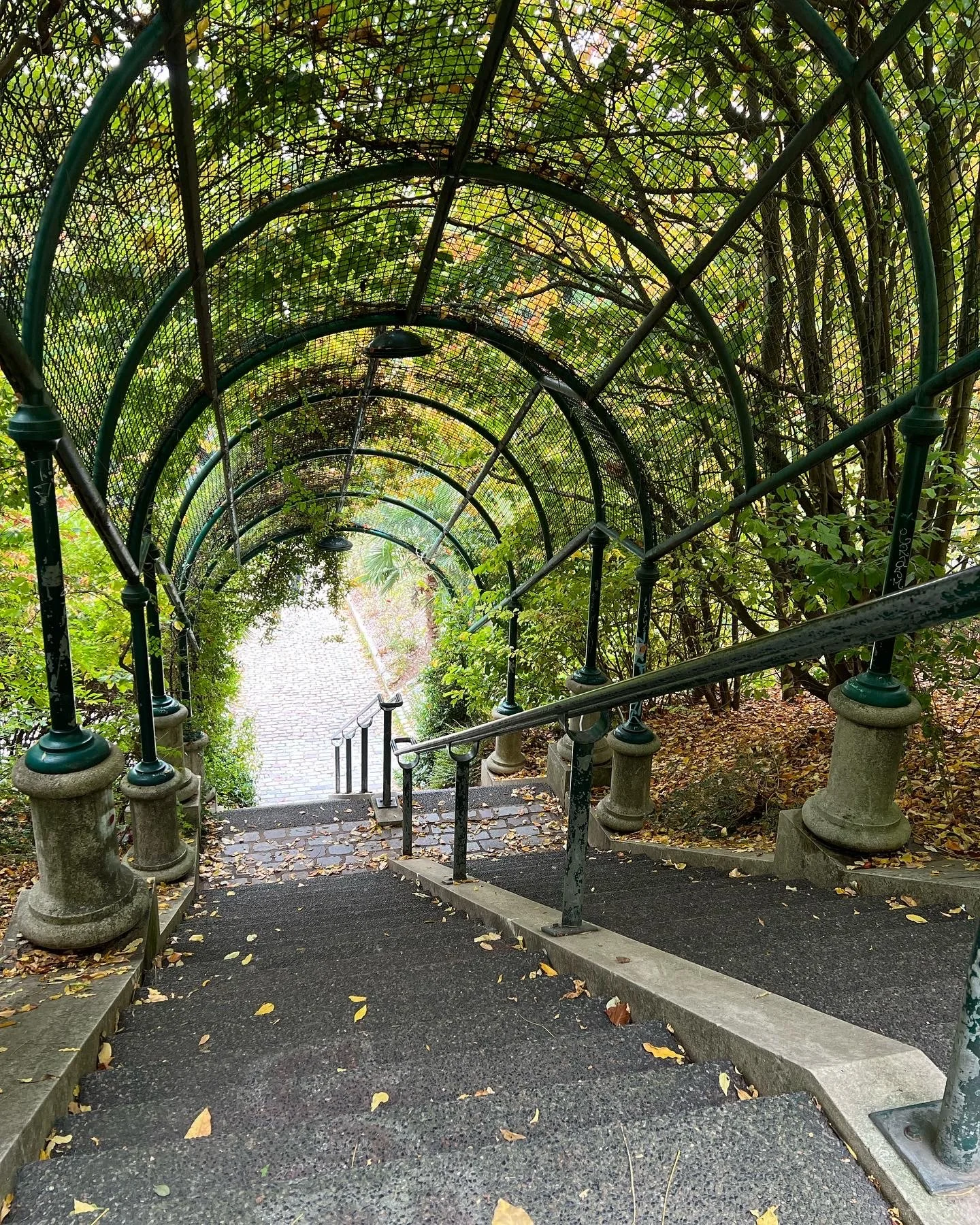 A covered outdoor staircase with a curved metal archway overhead, surrounded by lush green foliage, leading down to a cobblestone path.