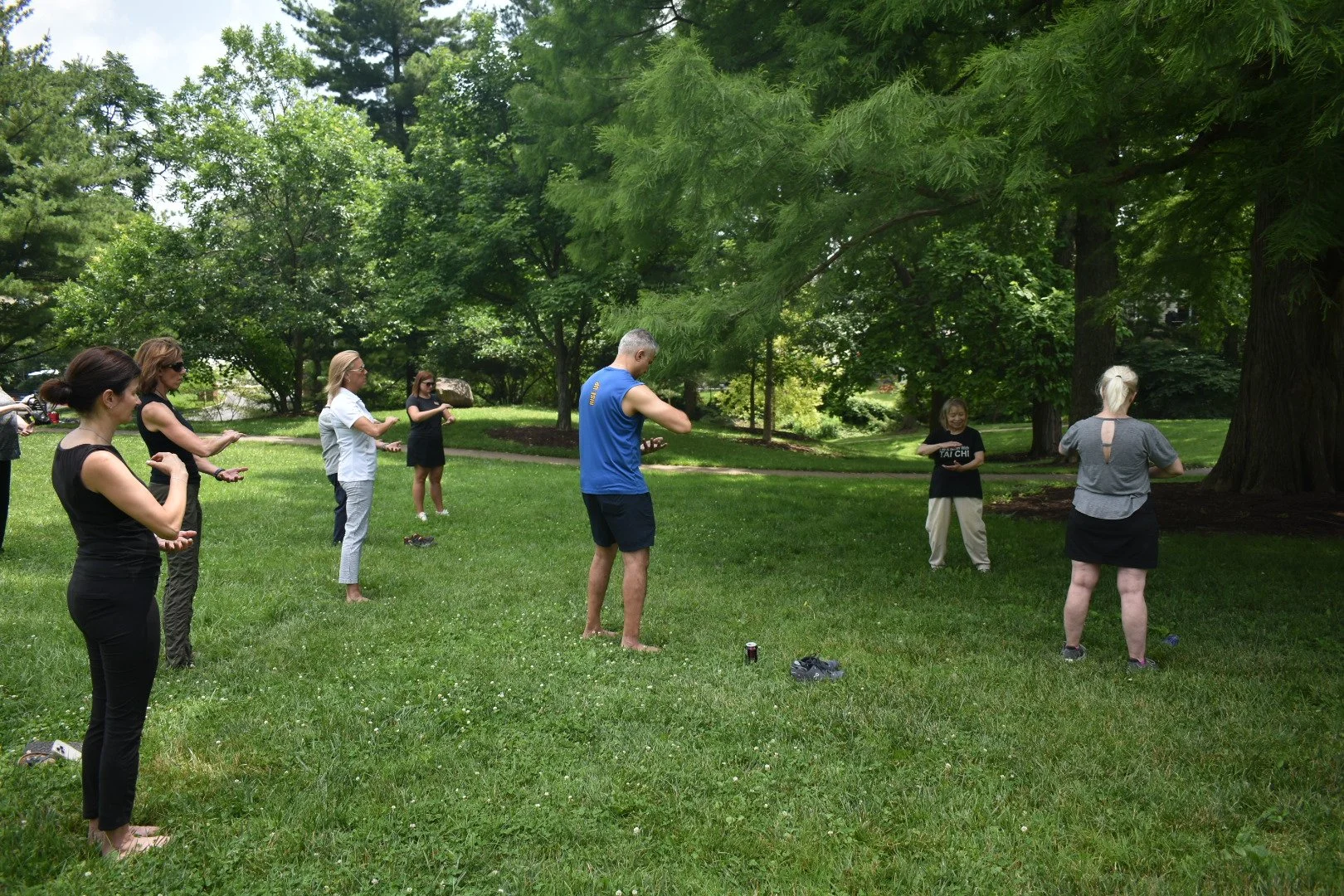 Tai Chi: Owl’s Nest Park