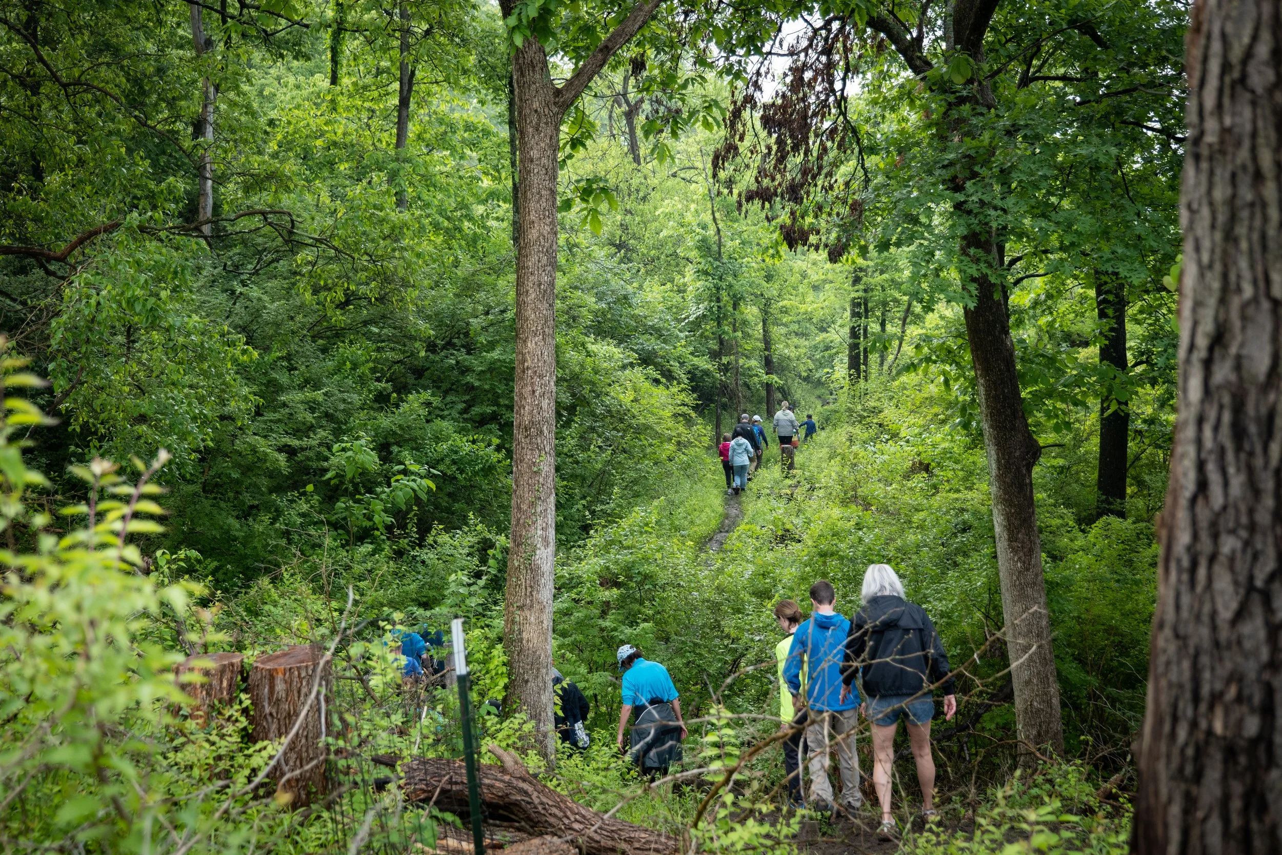 Group Hike: Mt. Airy