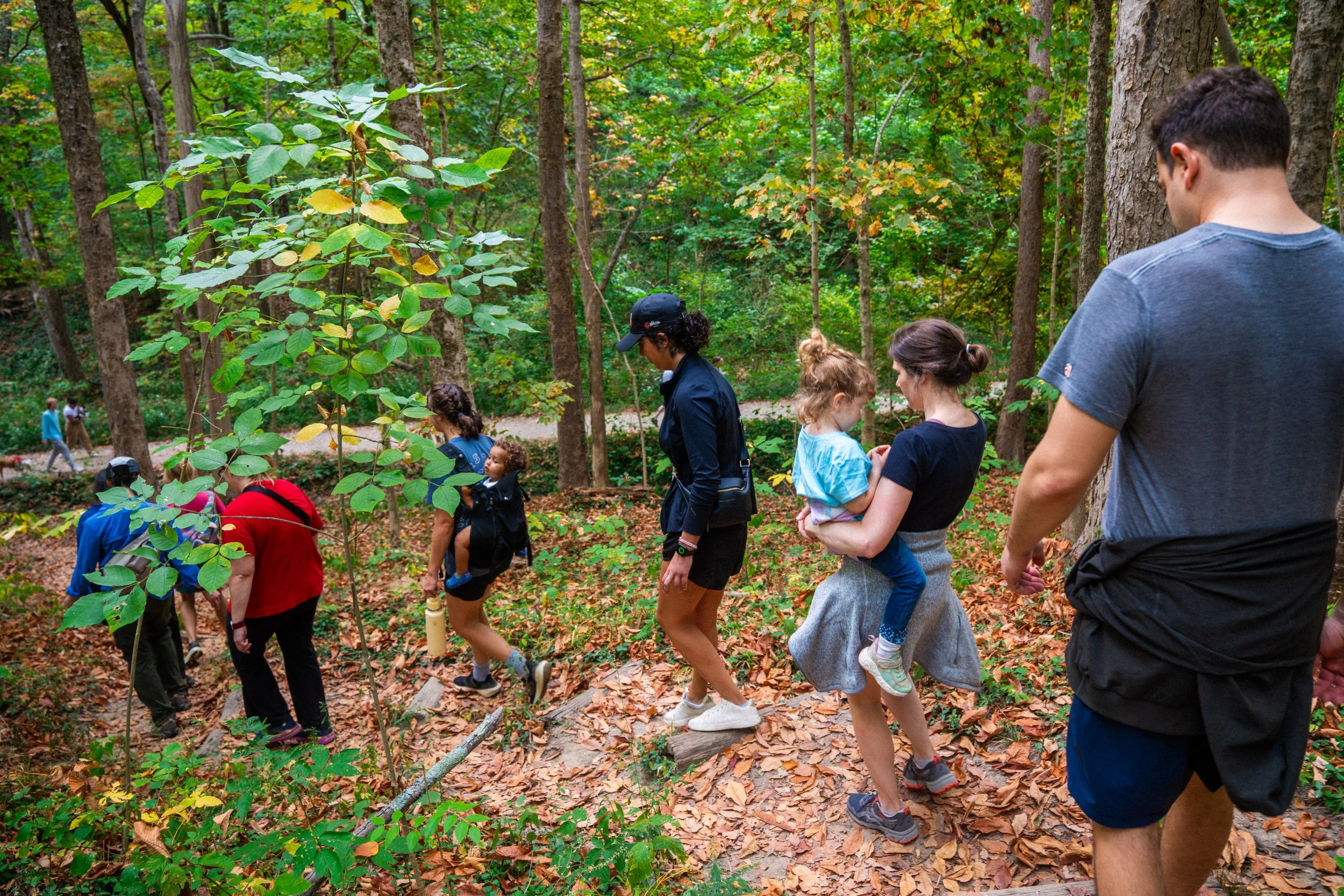 Group Hike: French Park
