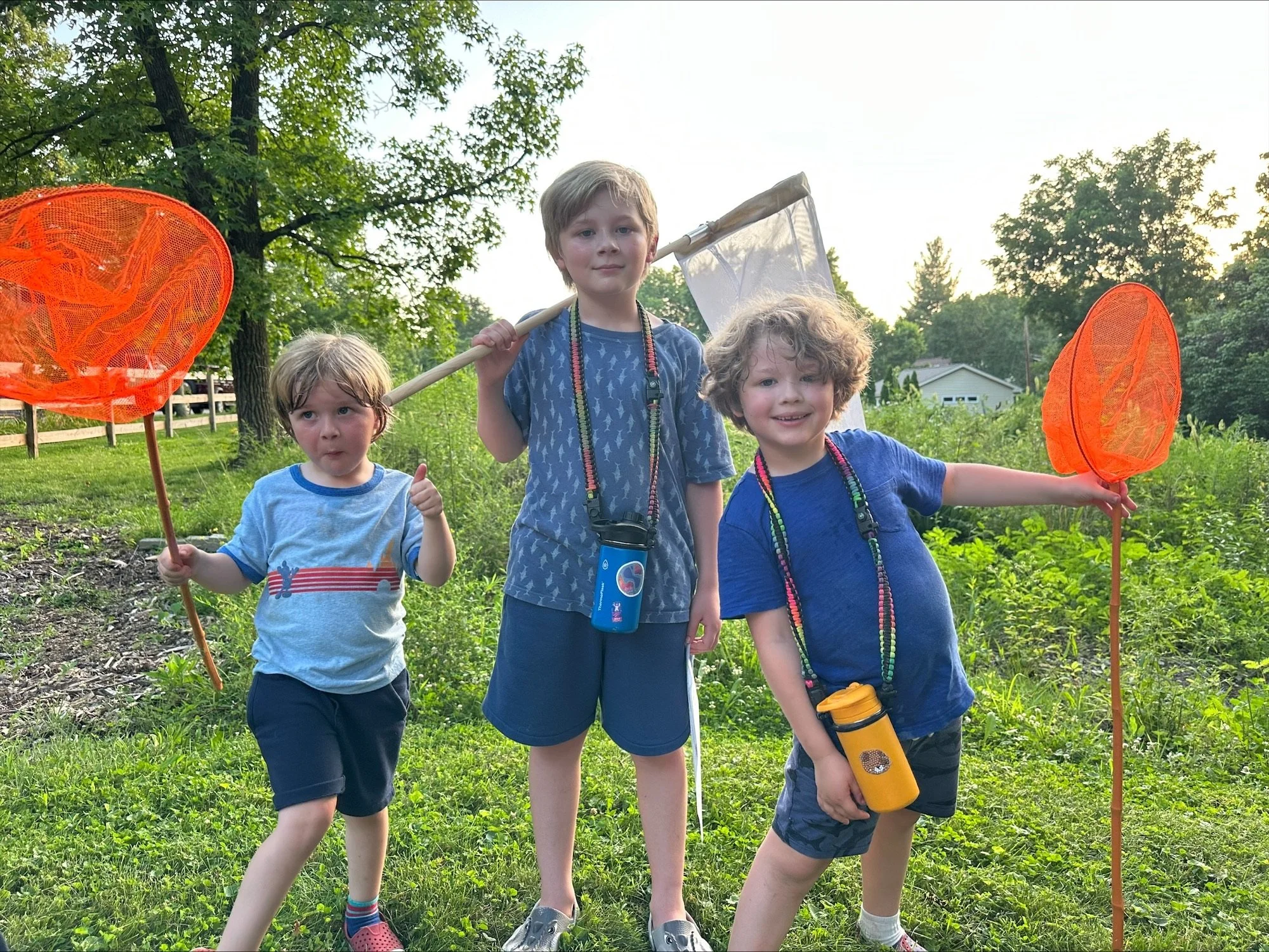 More Than a Sign of Summer: How Fireflies Led Us to Wonder and Science