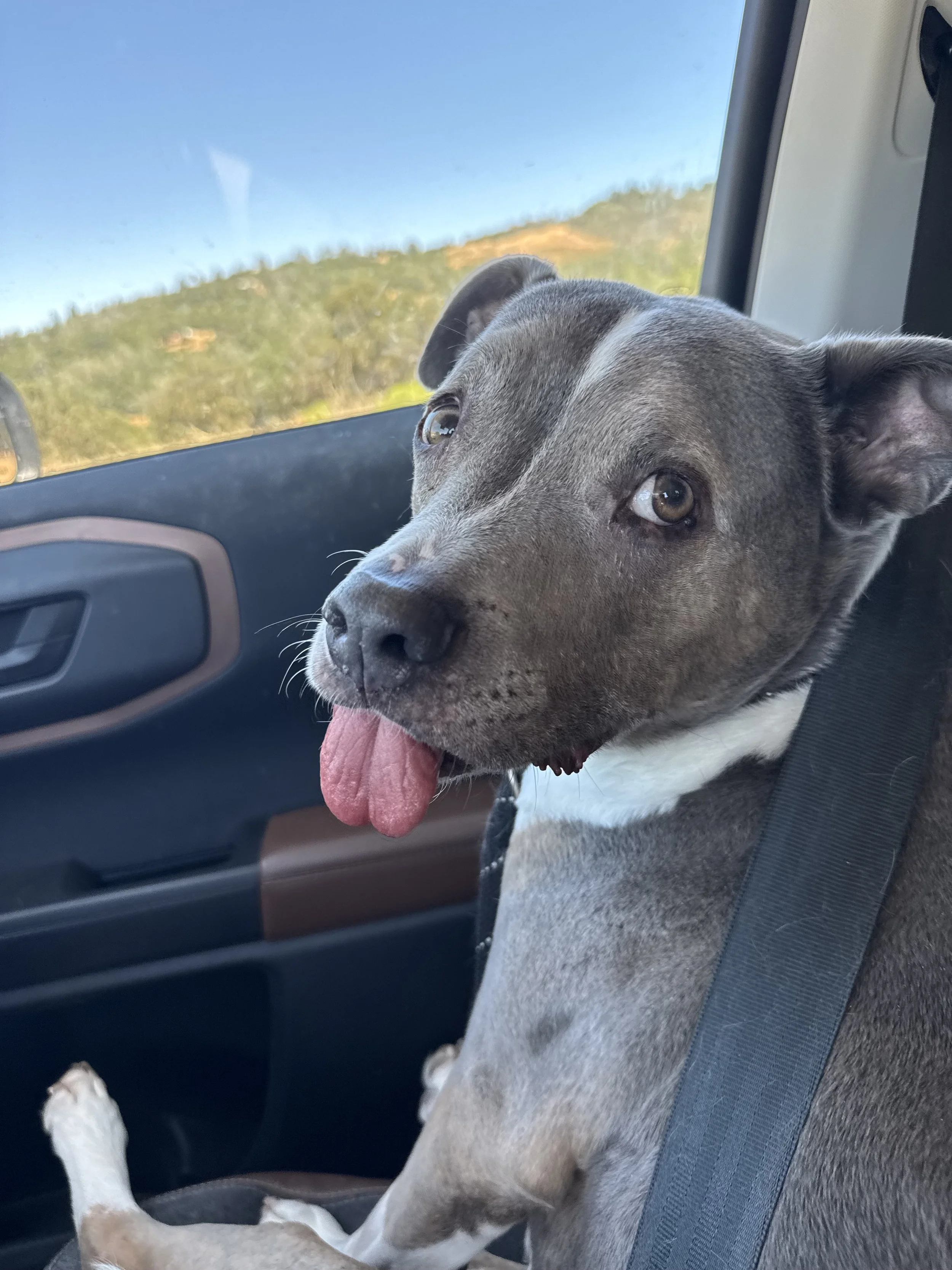 Commutes from Galt, Lodi, Wilton &amp; Elk Grove: What Buyers Should Know 