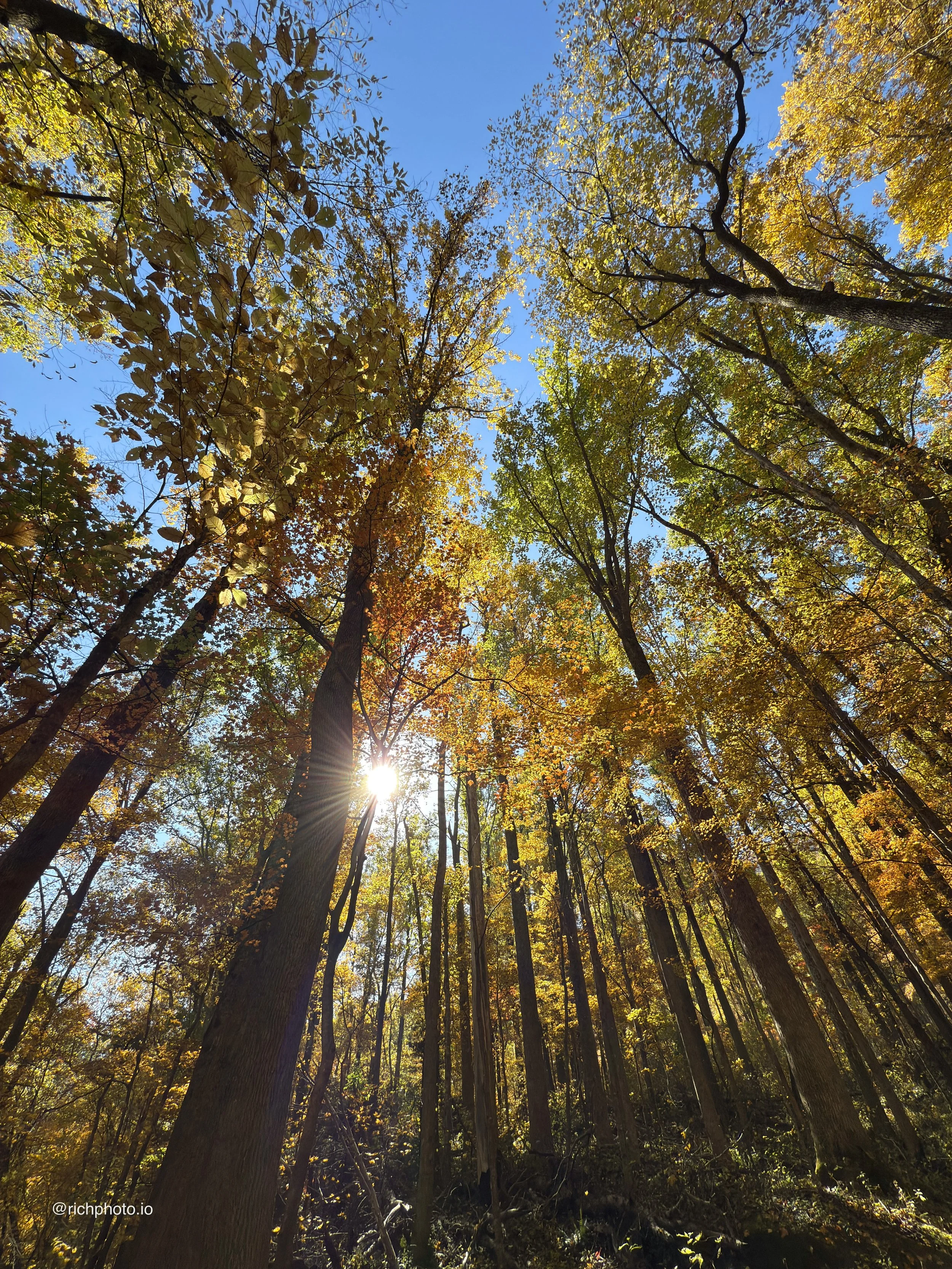 Great Smoky Mountains National Park 