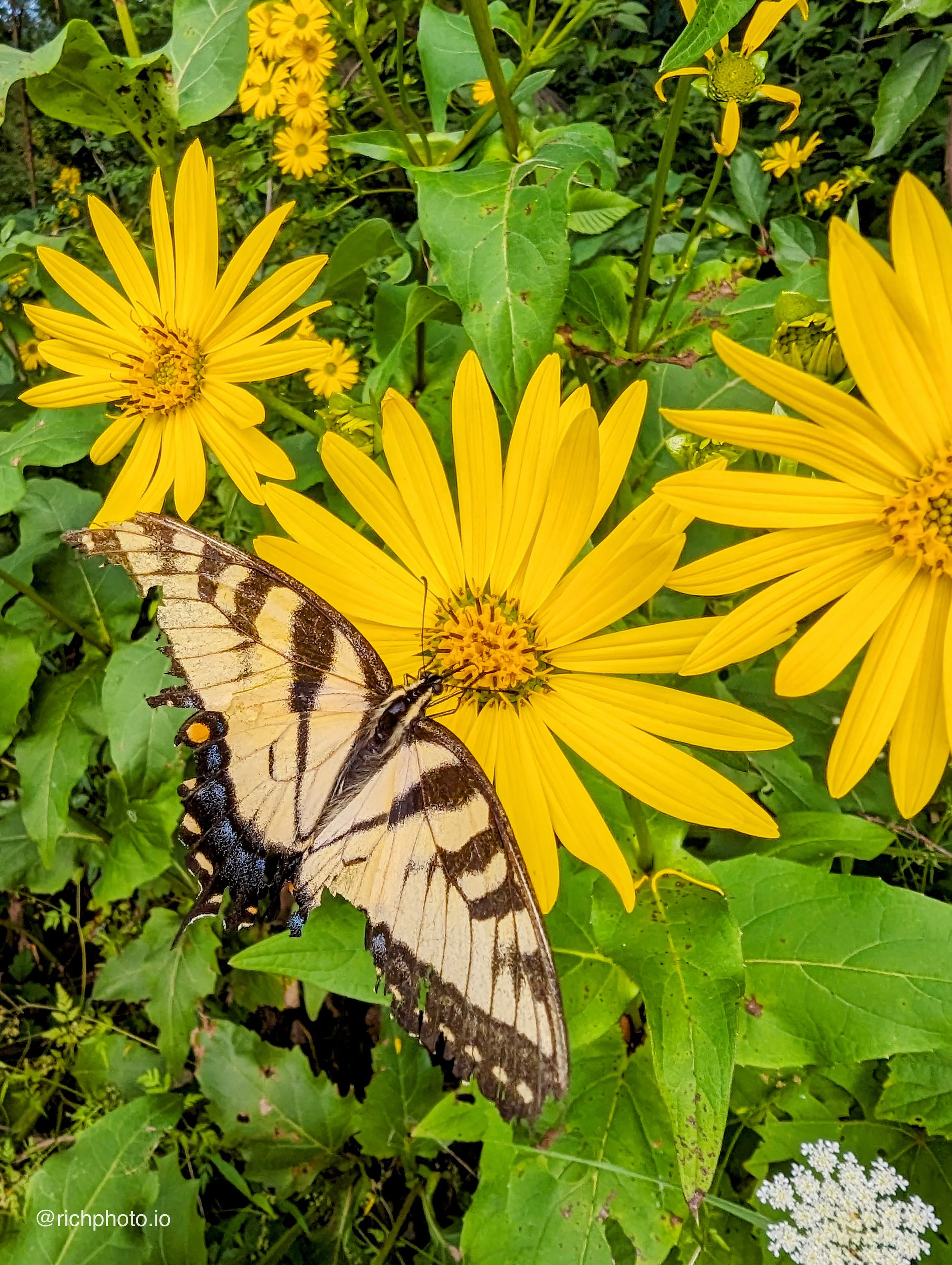 Cuyahoga Valley National Park 