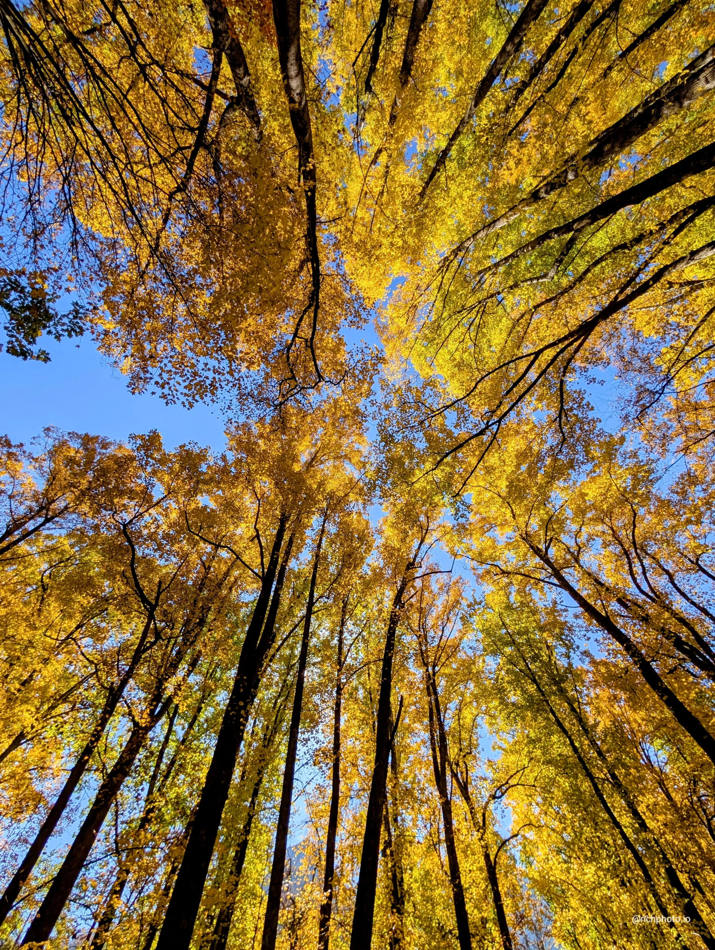 Great Smoky Mountains National Park 