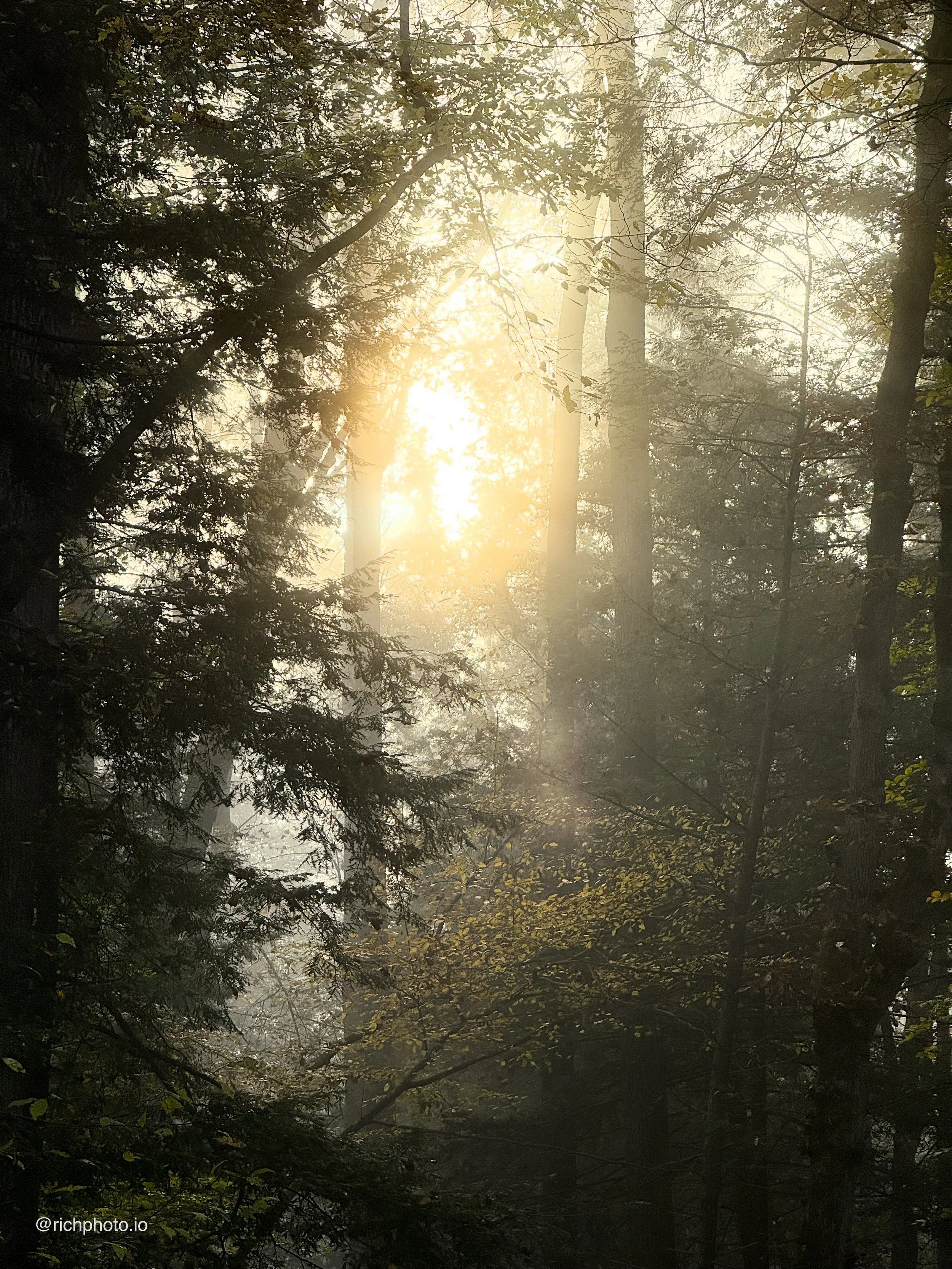 Great Smoky Mountains National Park  