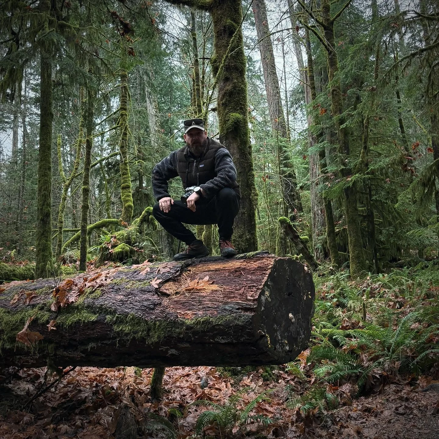 A man crouching on a fallen tree trunk in a dense forest surrounded by tall trees and green moss.