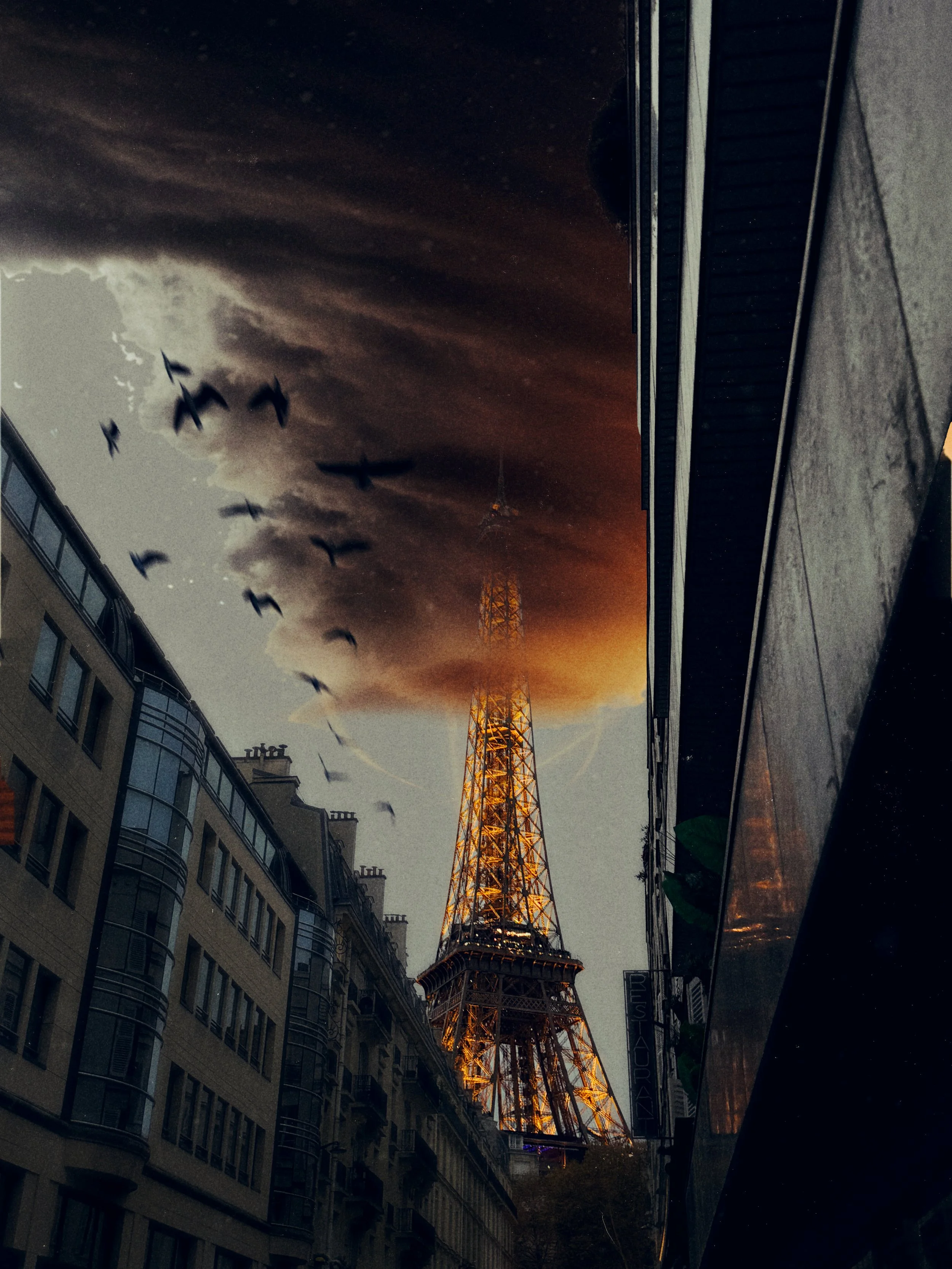 Estudio de la Torre Eiffel como estructura icónica, enfocado en su silueta, ritmo estructural y entramado metálico. La imagen explora la relación entre repetición, ligereza visual y monumentalidad dentro del espacio urbano.