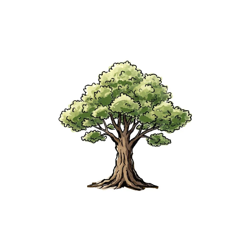 Estudio de un árbol como elemento natural, centrado en su silueta, textura y el equilibrio entre la masa orgánica y la estructura interna que la sostiene.