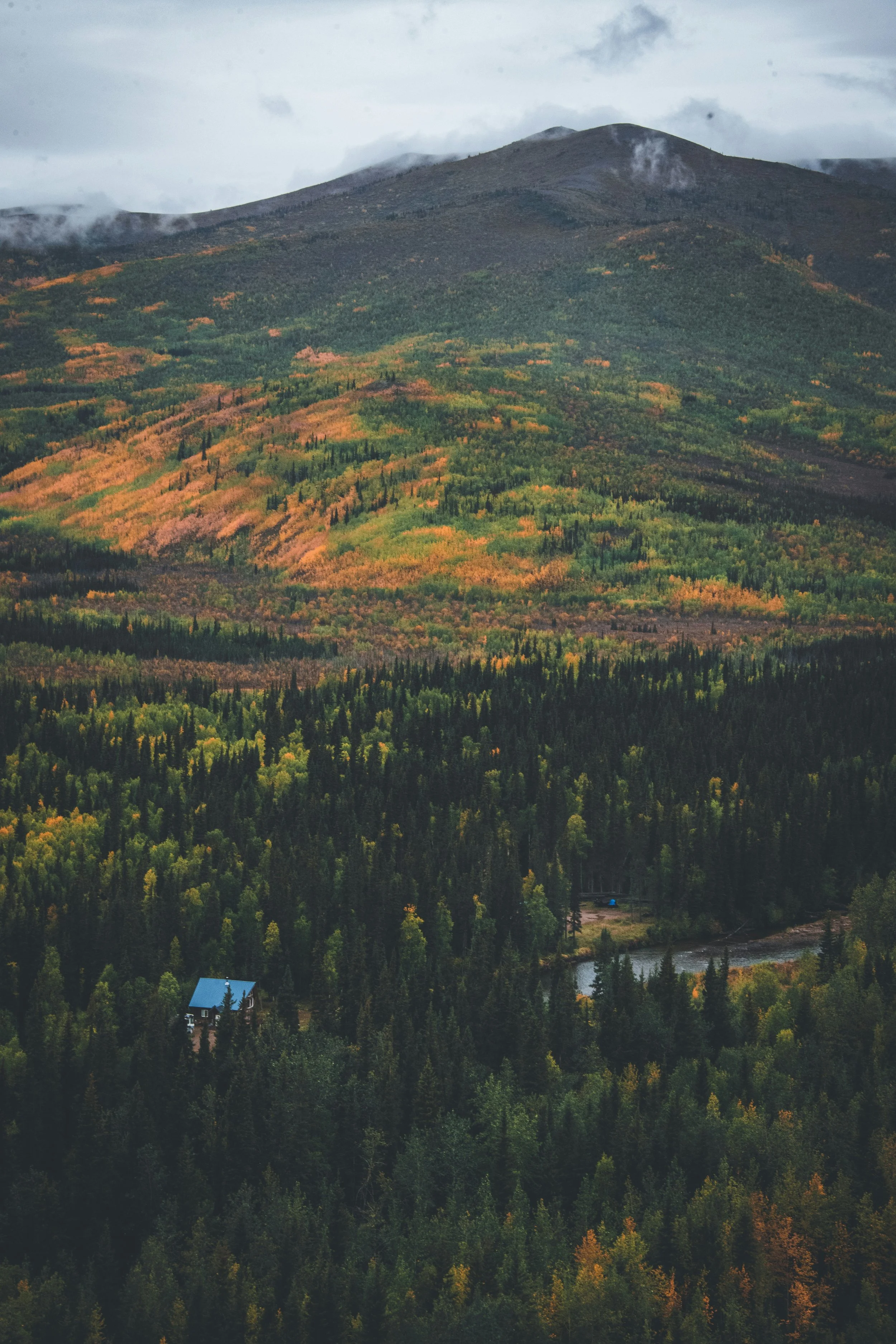 Mountain landscape with forest, a small house with a blue roof, a river, and cloudy sky.