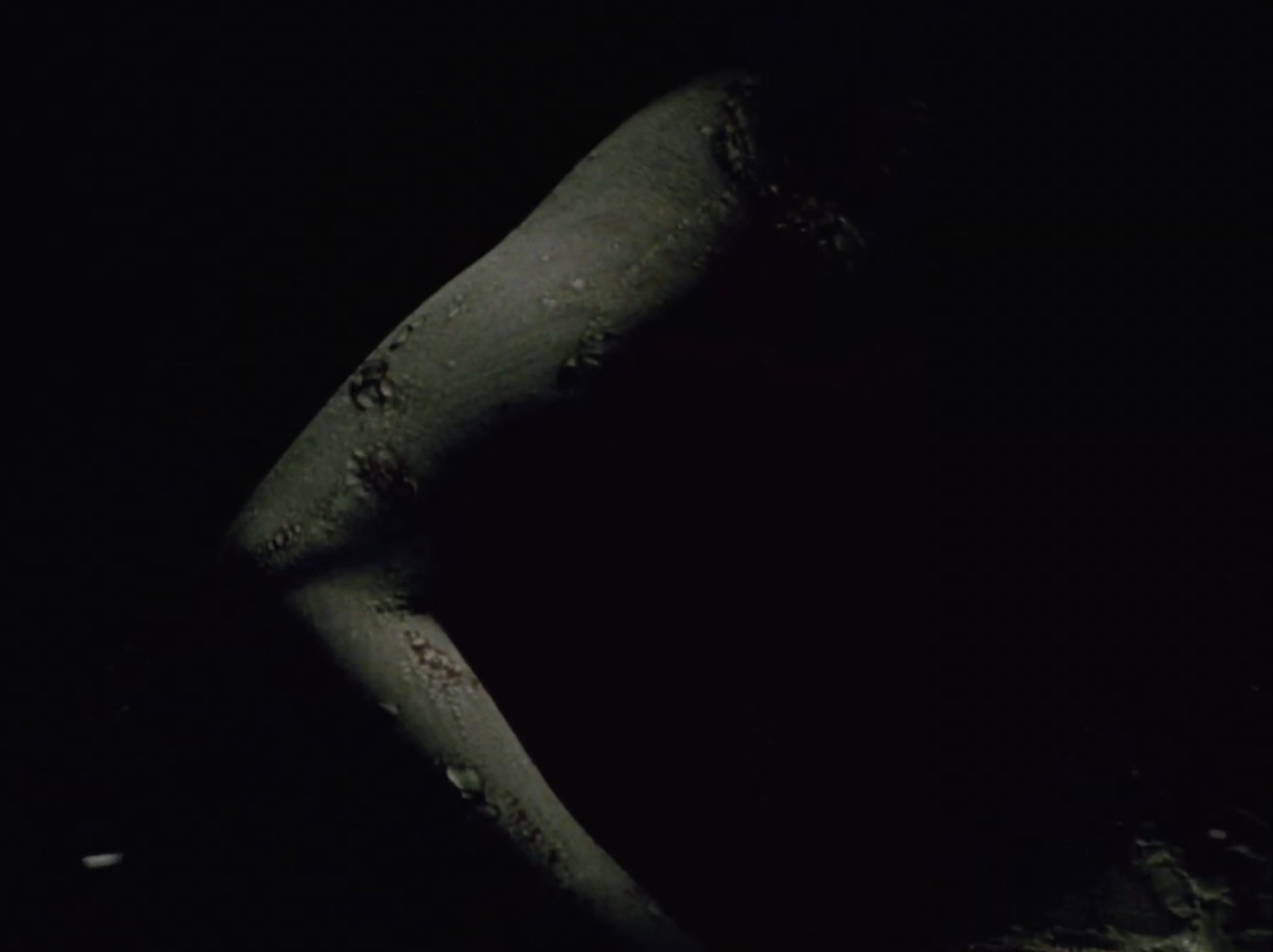 A long, pointed, grayish object with scratches lying on a dark surface.