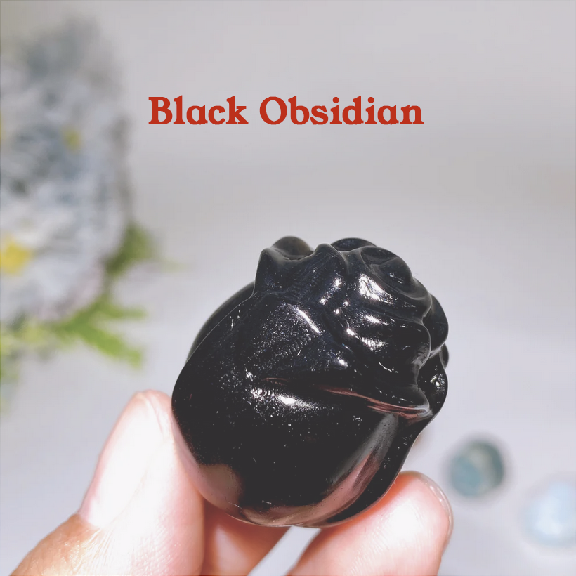 Screenshot 2026-02-13 at 2.13.11 PM copy.png