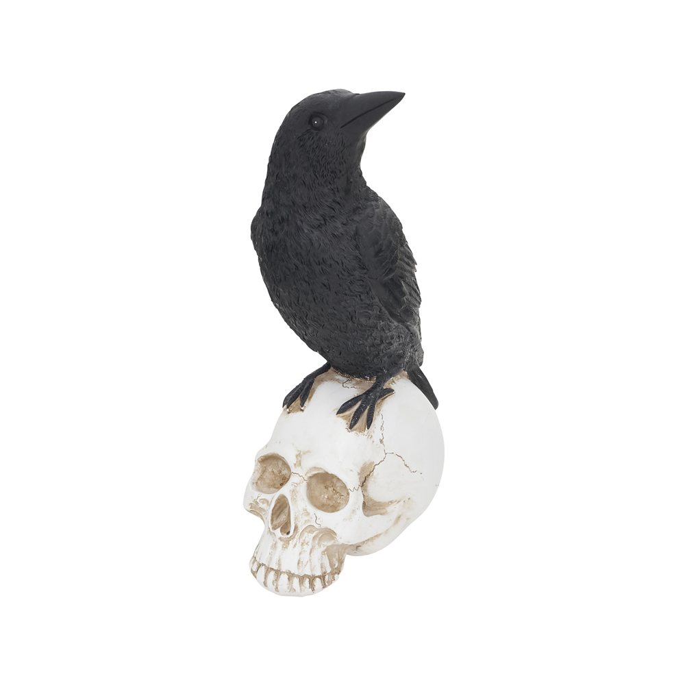 Raven on Skull