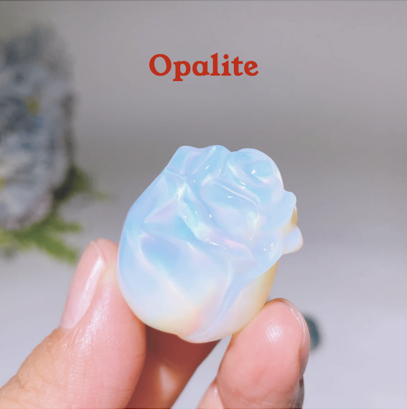 Screenshot 2026-02-13 at 2.14.25 PM copy.png