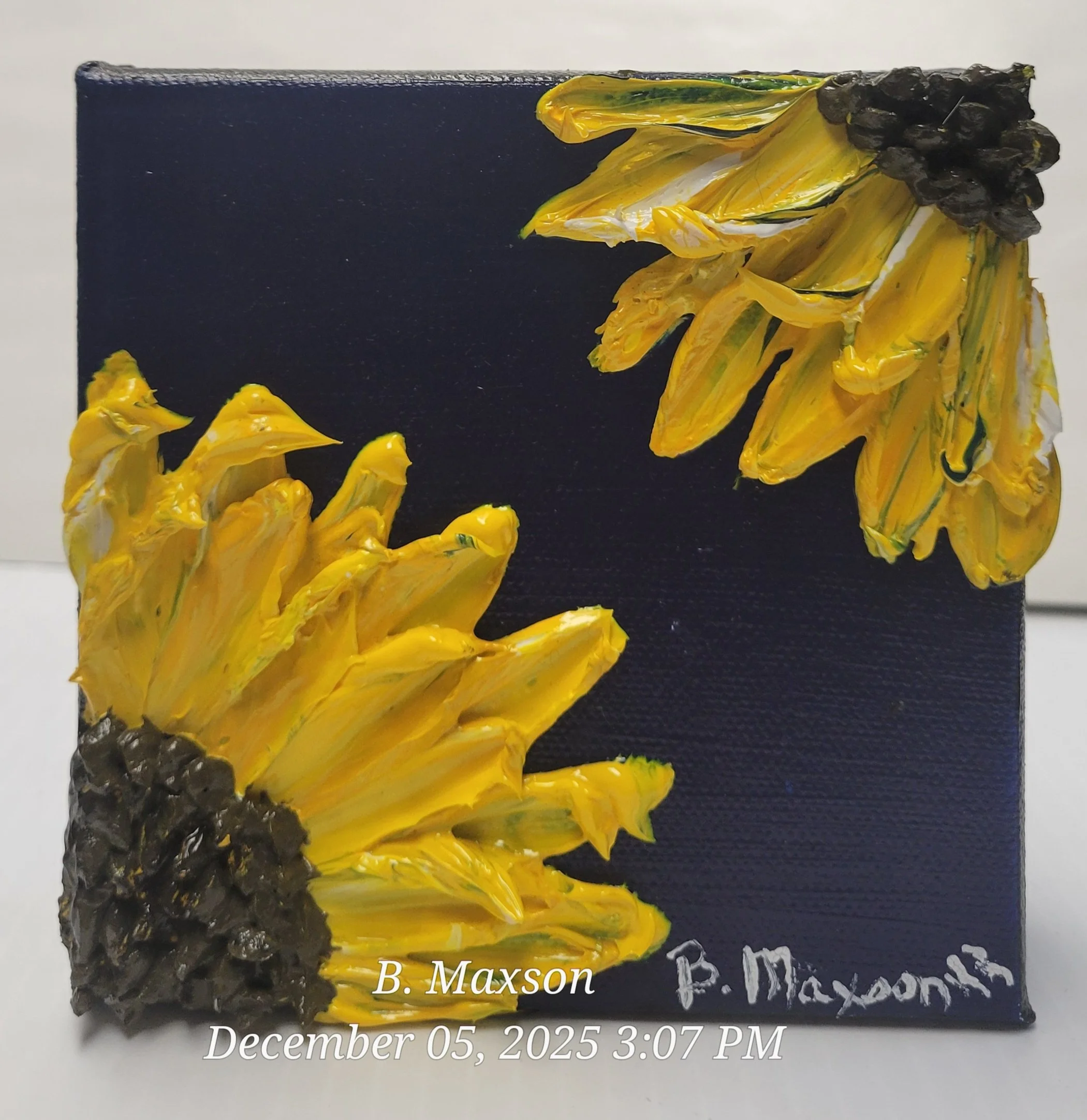 Sunflowers in My Corner