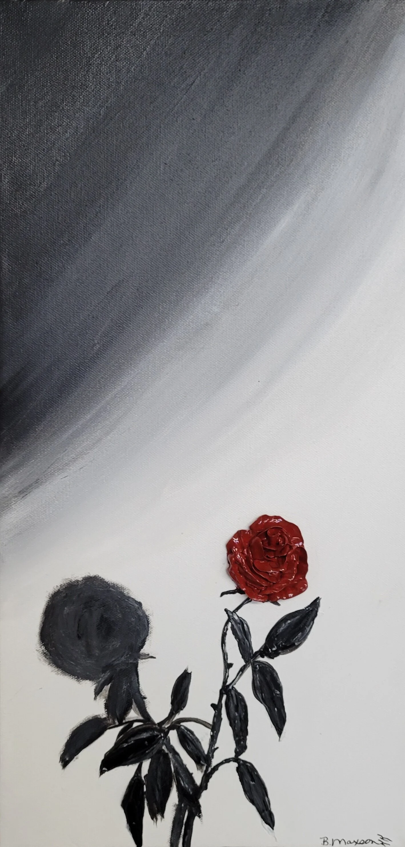 Shadow of Beauty 2022.jpg