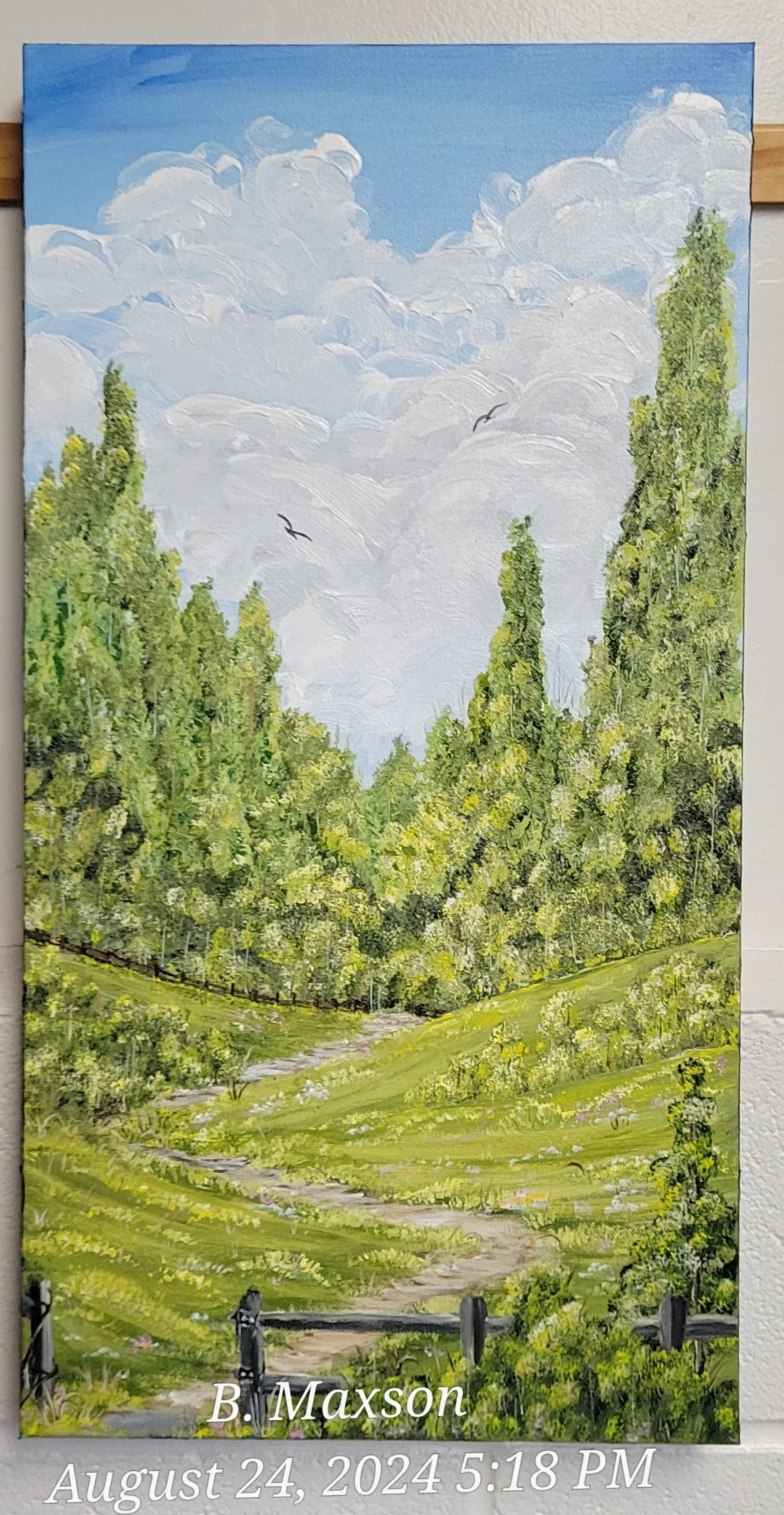 Let's Explore Beyond the Trees