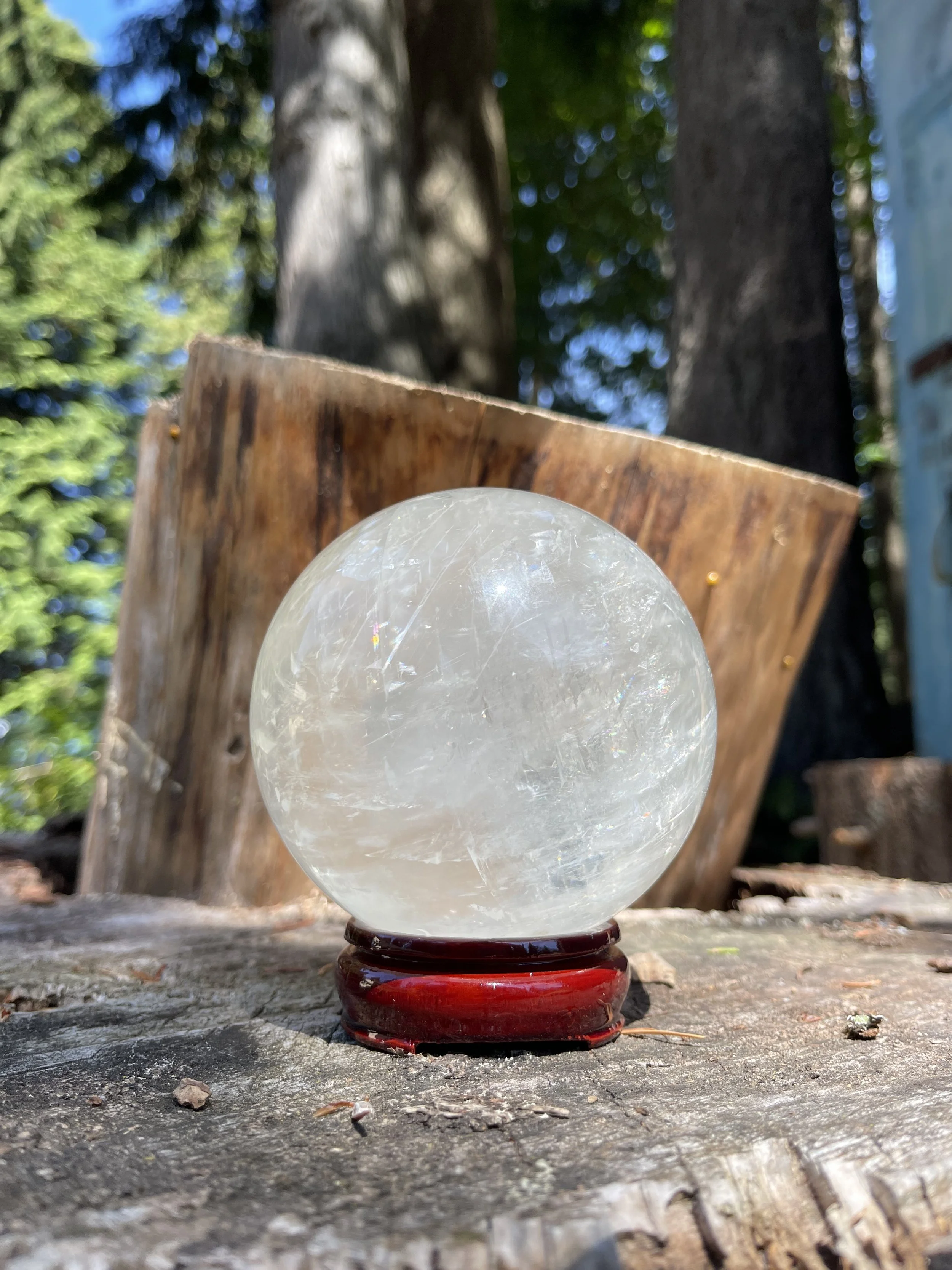 General Reading- 30 min