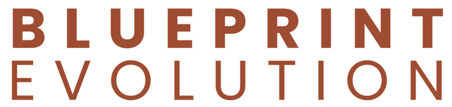 Blueprint Evolution LLC