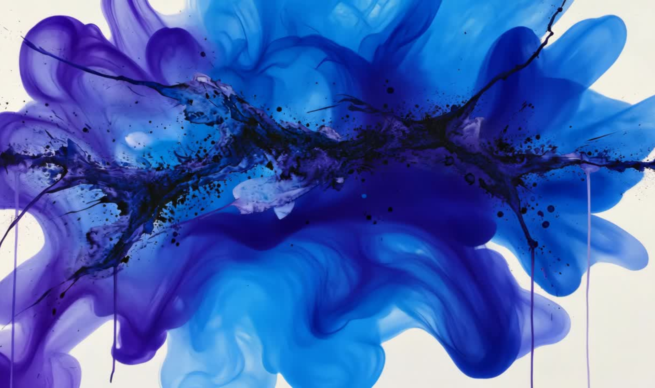 Hilary Main Images-Museum District Digital - Full-Service Digital Presence and Web Design (5).png