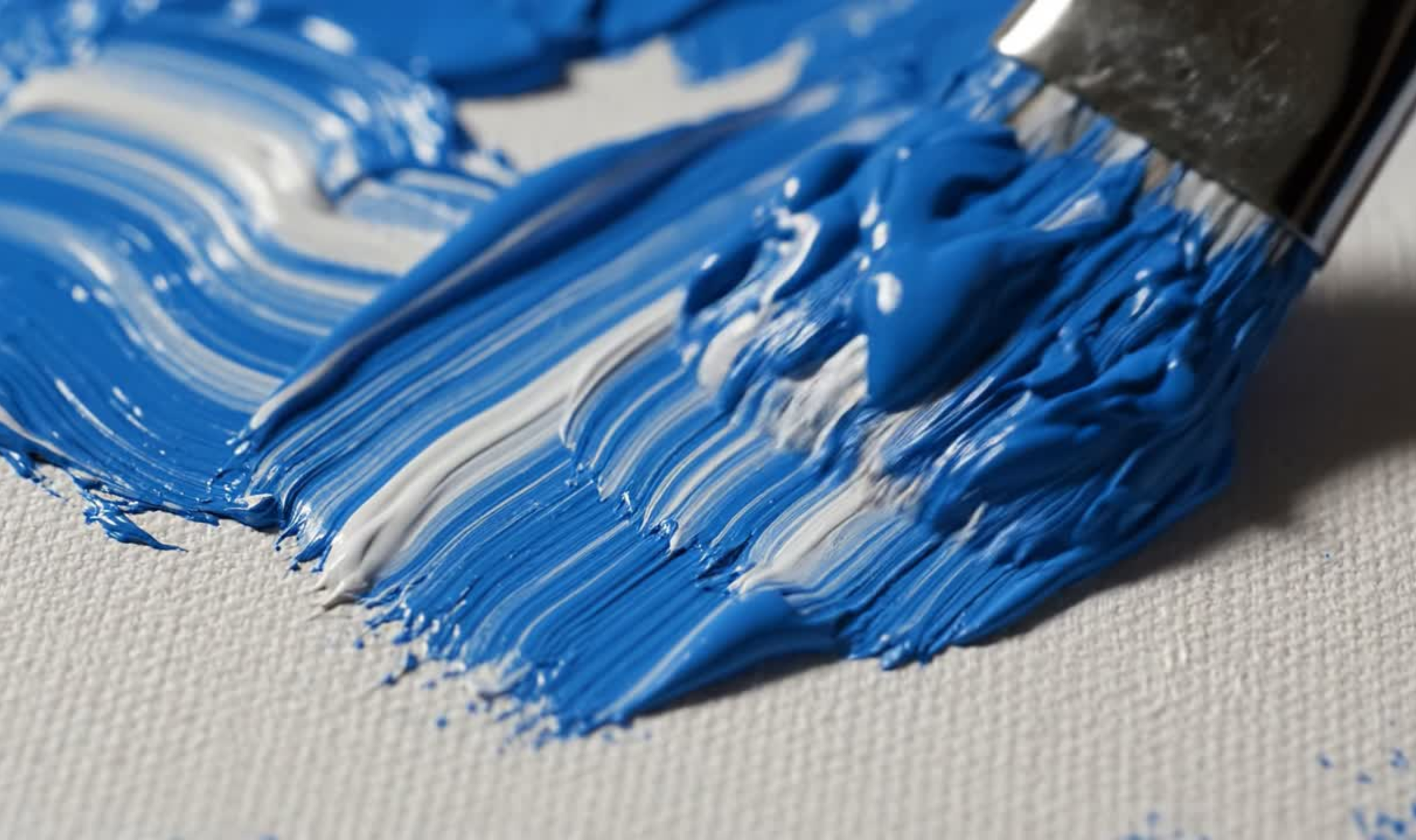 Hilary Main Images-Museum District Digital - Full-Service Digital Presence and Web Design (8).png