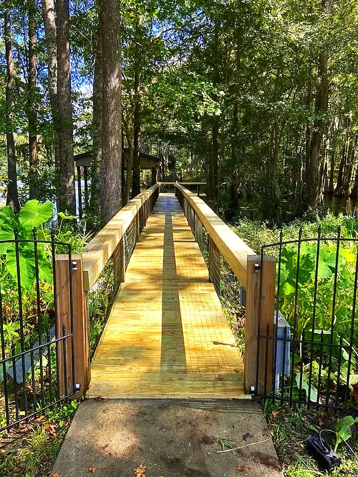 Wooden boardwalk extending into a forested area.