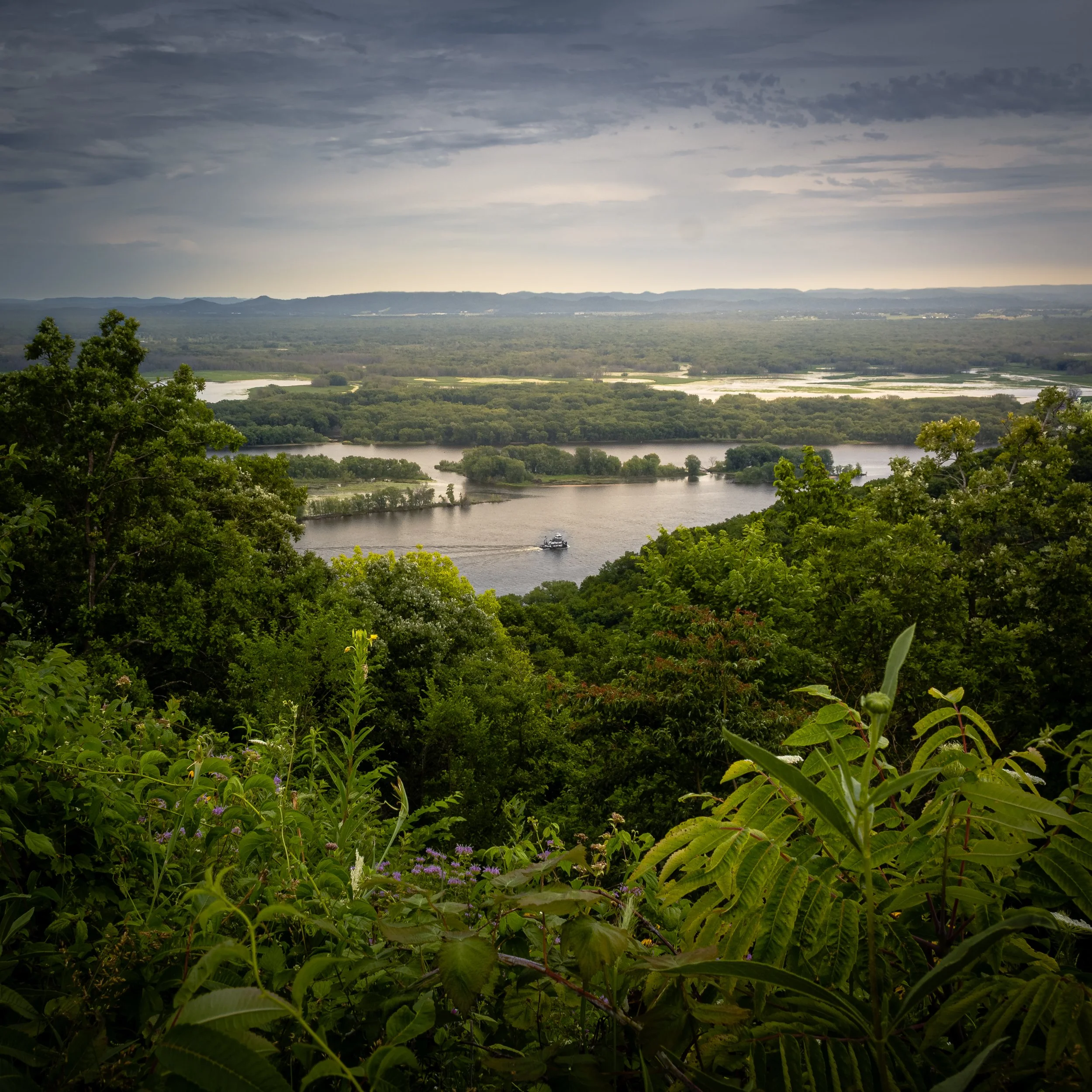 Mississippi Voyage