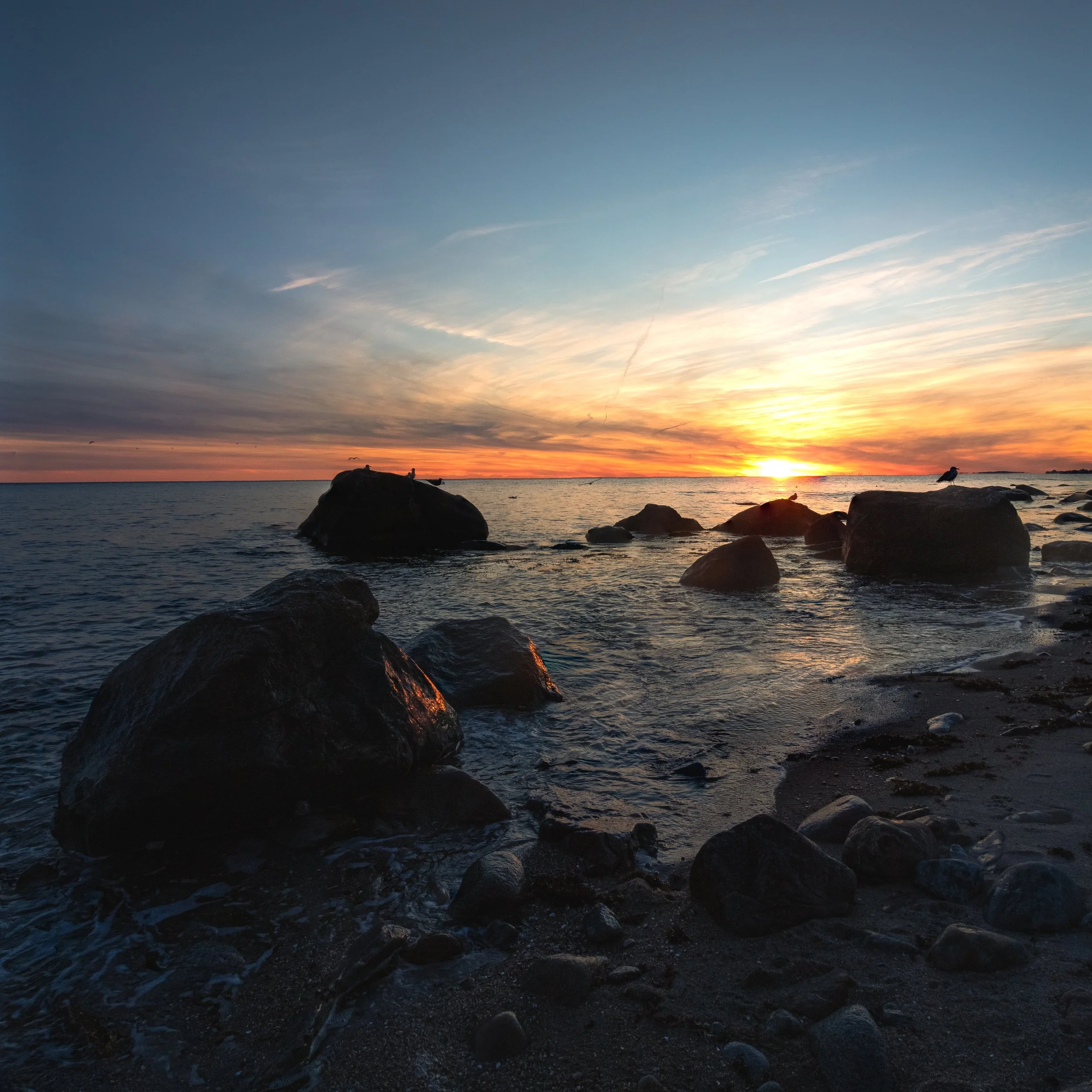 Shore Fire