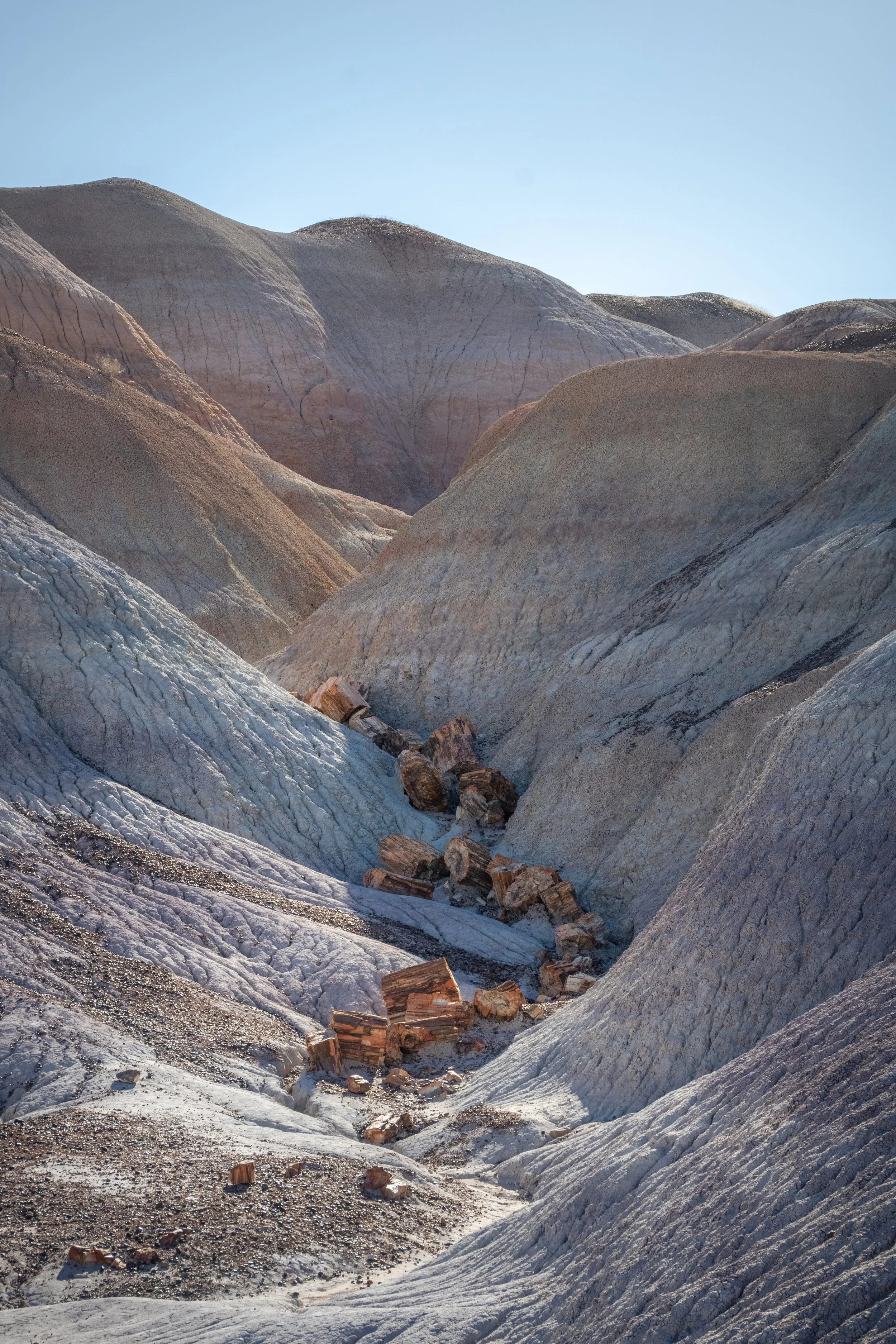 Permineral Repose I