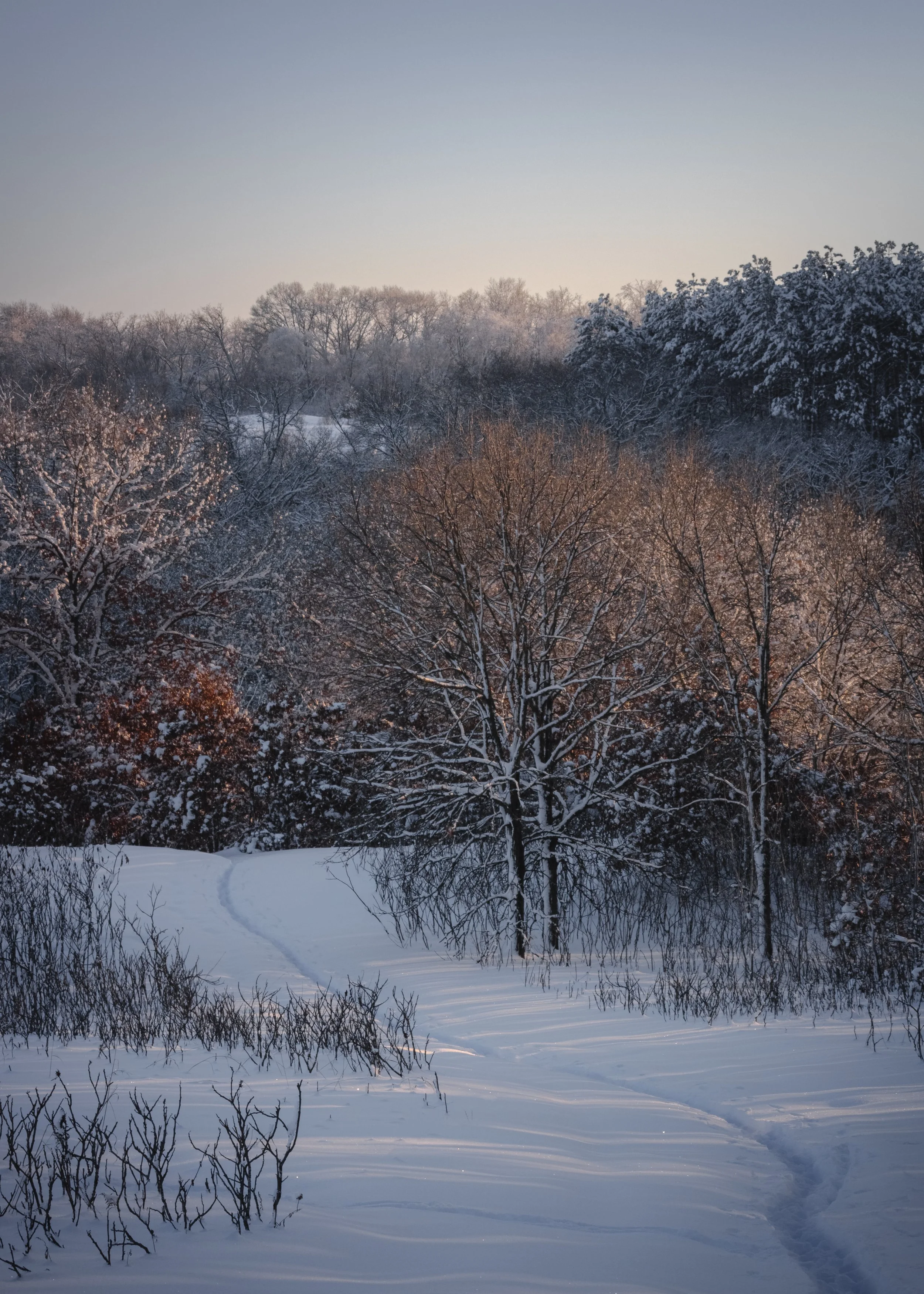 January in the Prairie